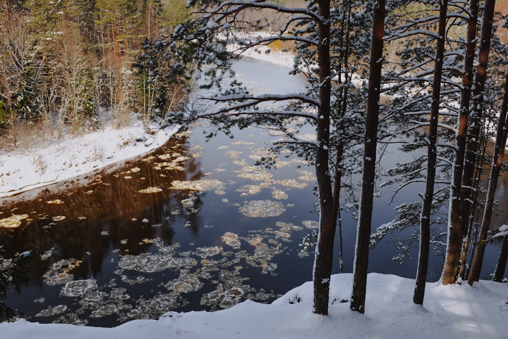 a river running through a snow covered forest
