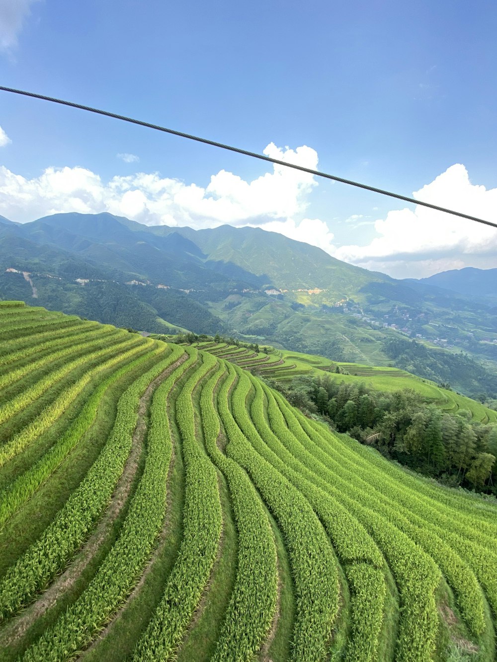 a lush green field with mountains in the background