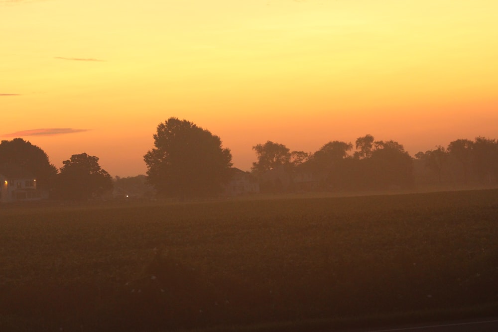 the sun is setting over a field of grass