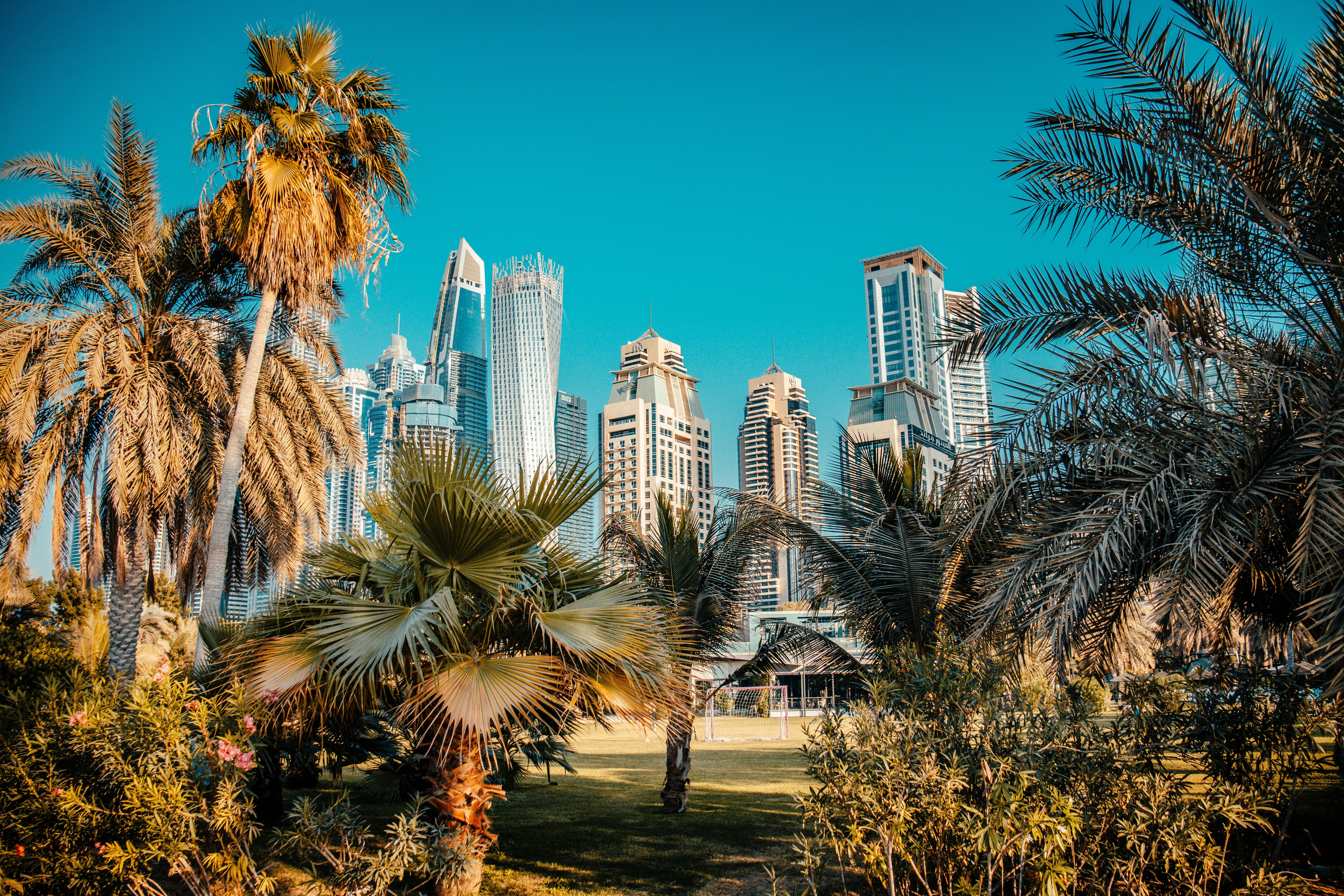 Photo by raimondklavins