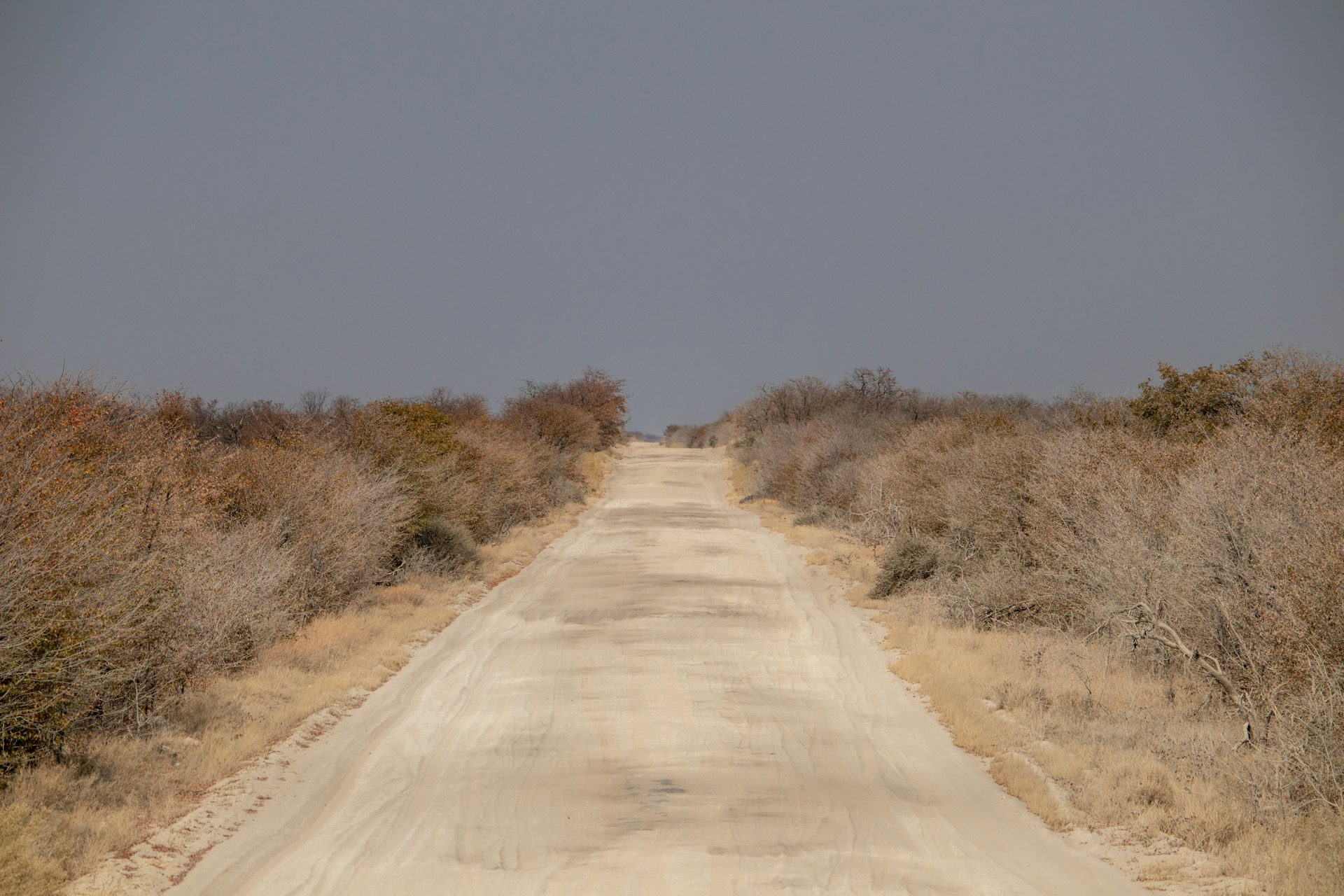 Botswana Highlights & the Seychelles