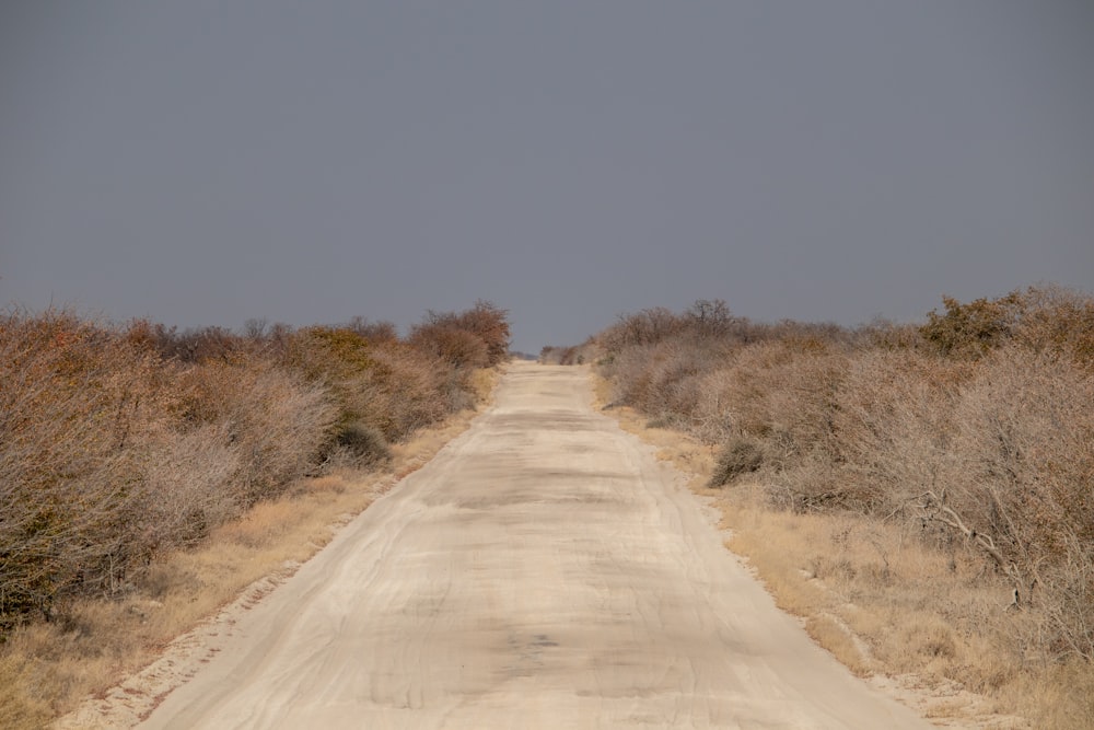 a dirt road in the middle of the desert