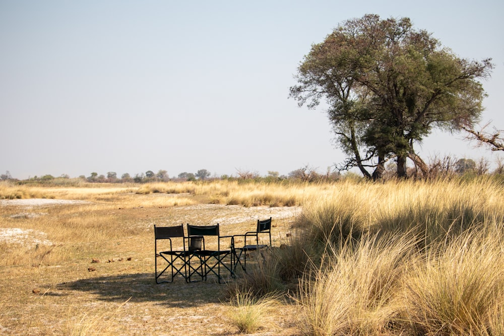 a couple of chairs sitting on top of a dry grass field