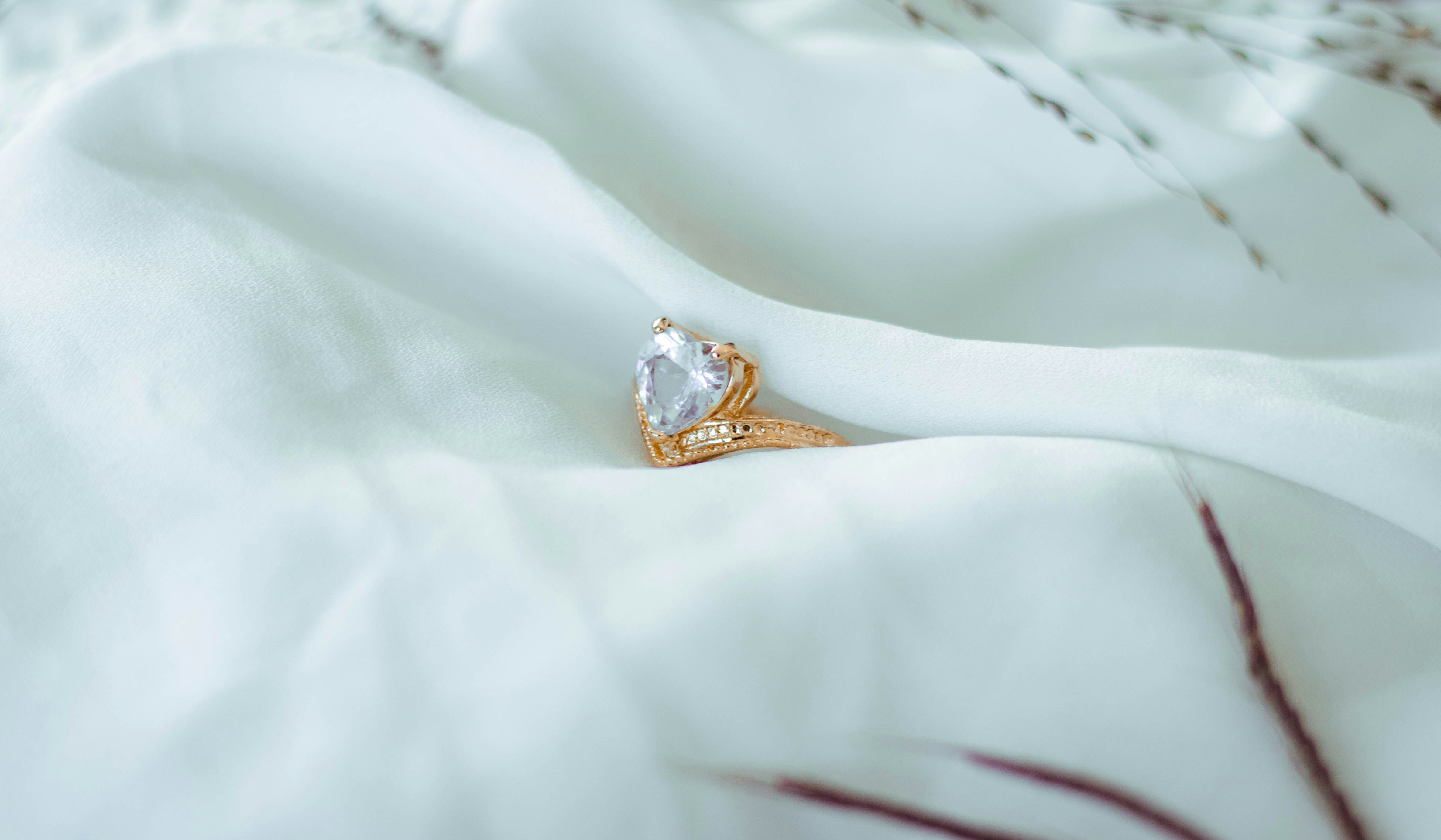 Photo by danettcansino