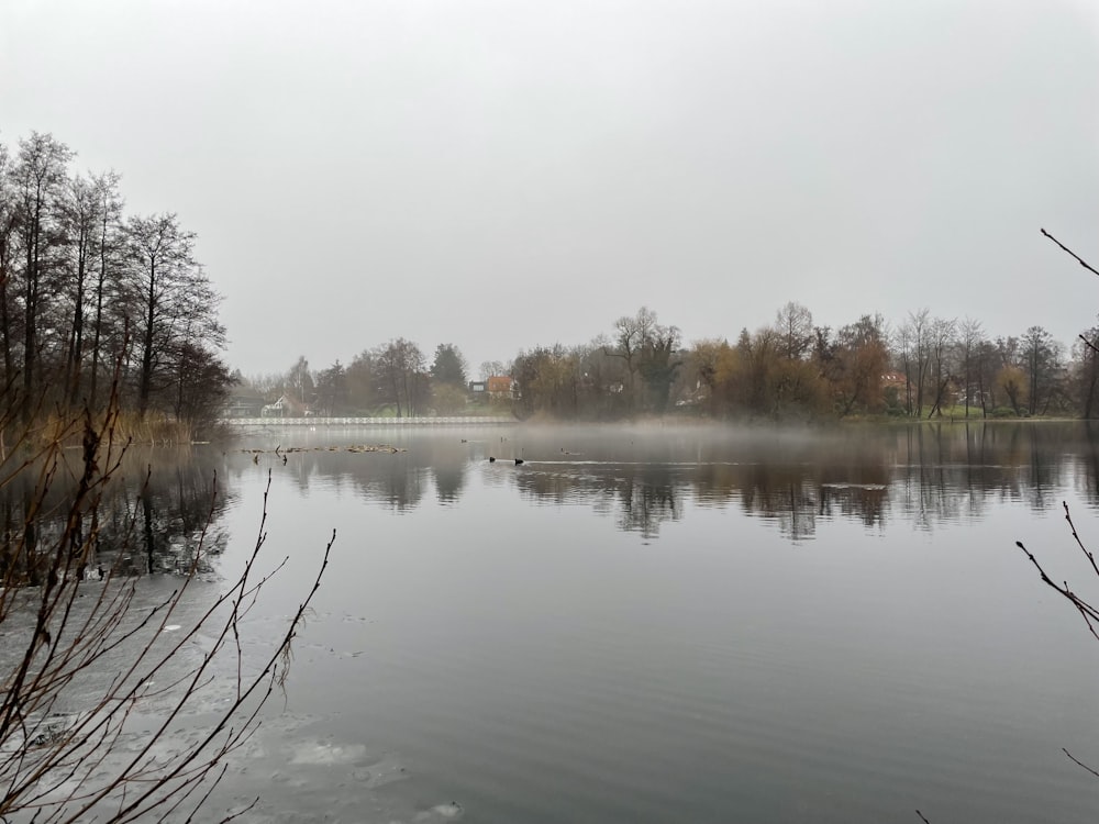 a body of water surrounded by trees and fog