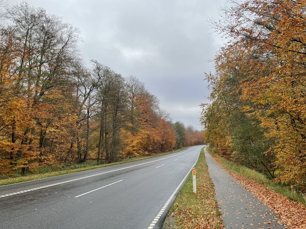 an empty road surrounded by trees in the fall