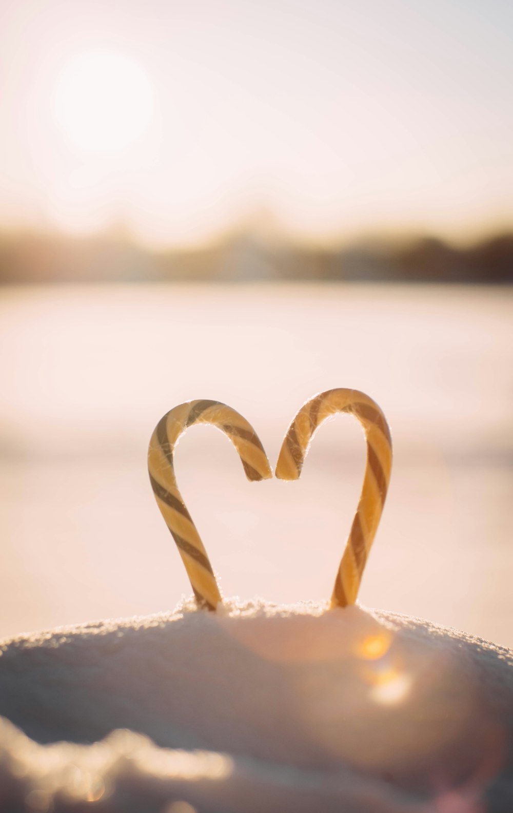 two candy canes in the shape of a heart