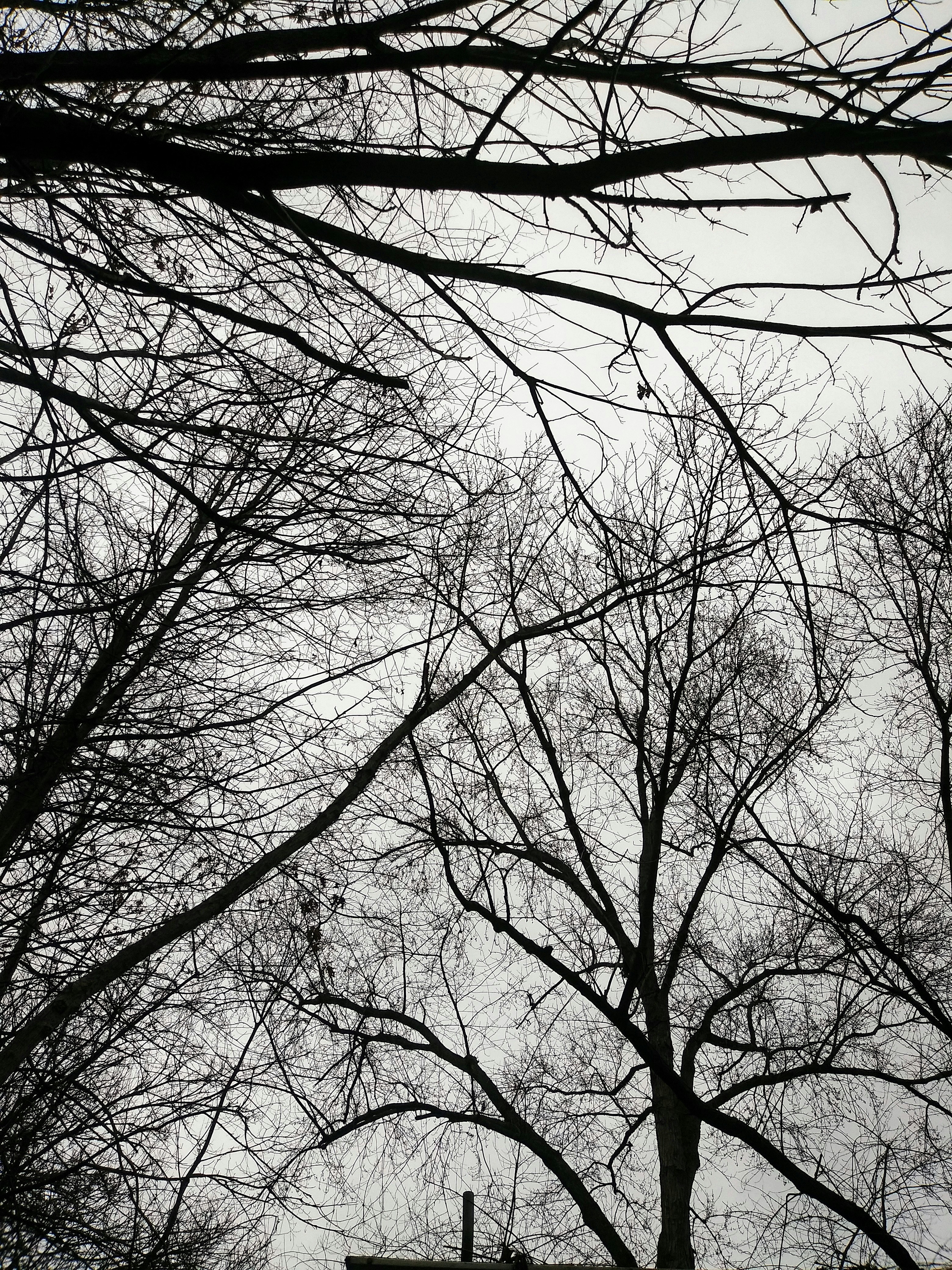 Photo by the_moonflower_queen