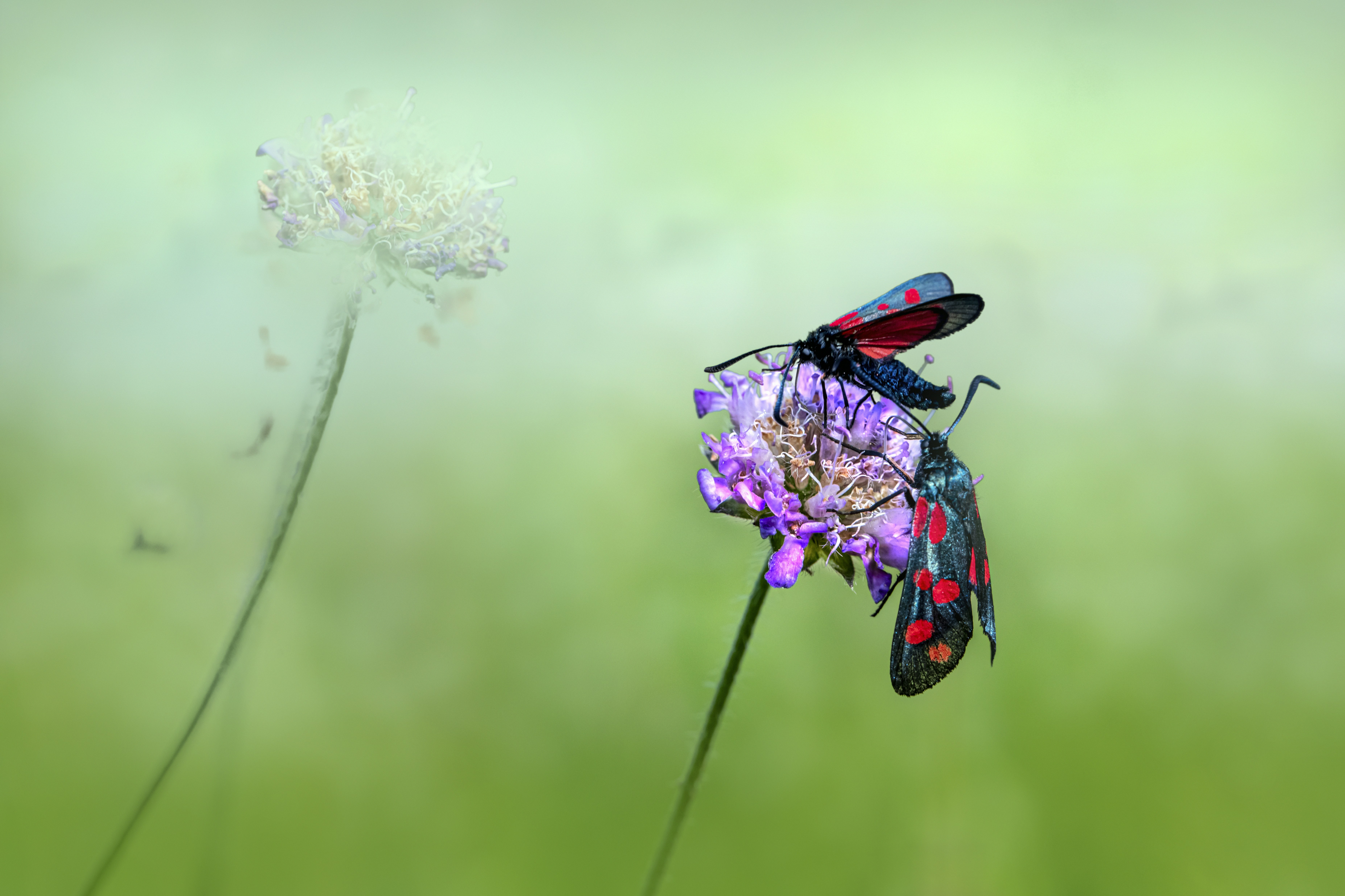 Photo by erik_karits