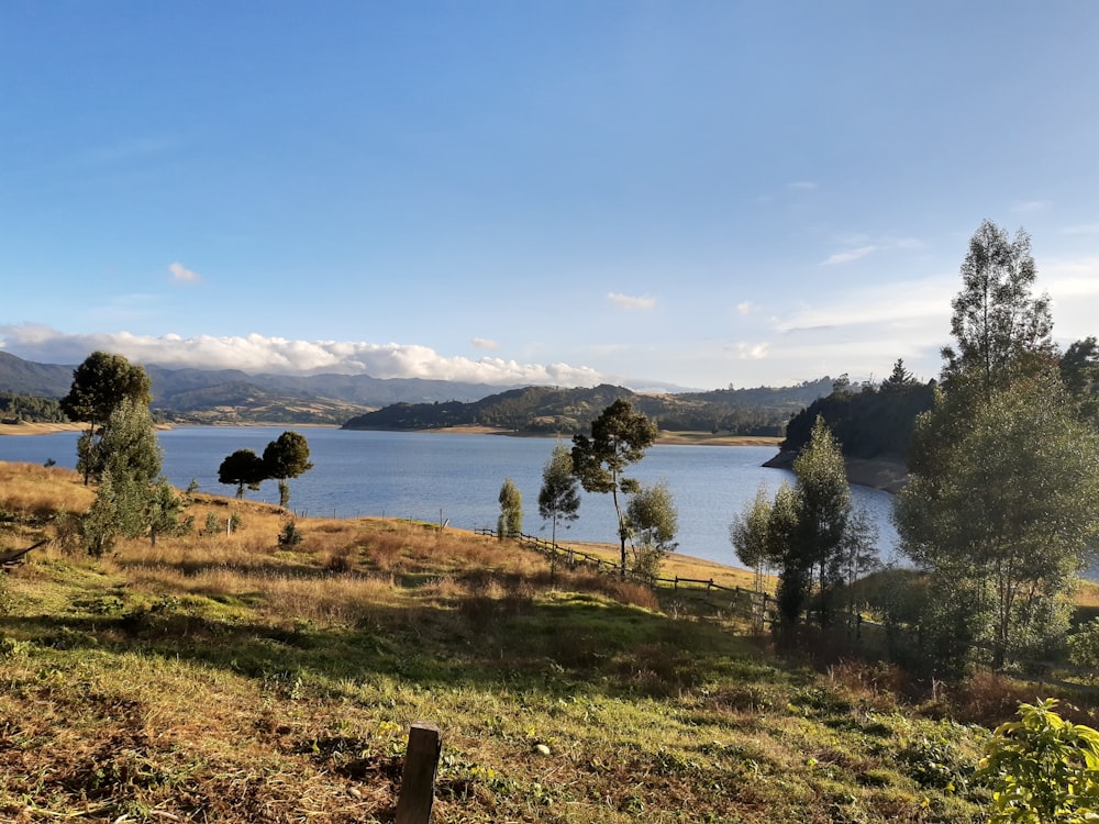 um grande corpo de água cercado por árvores