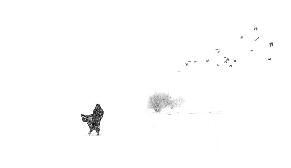 a person standing in the snow with birds flying overhead