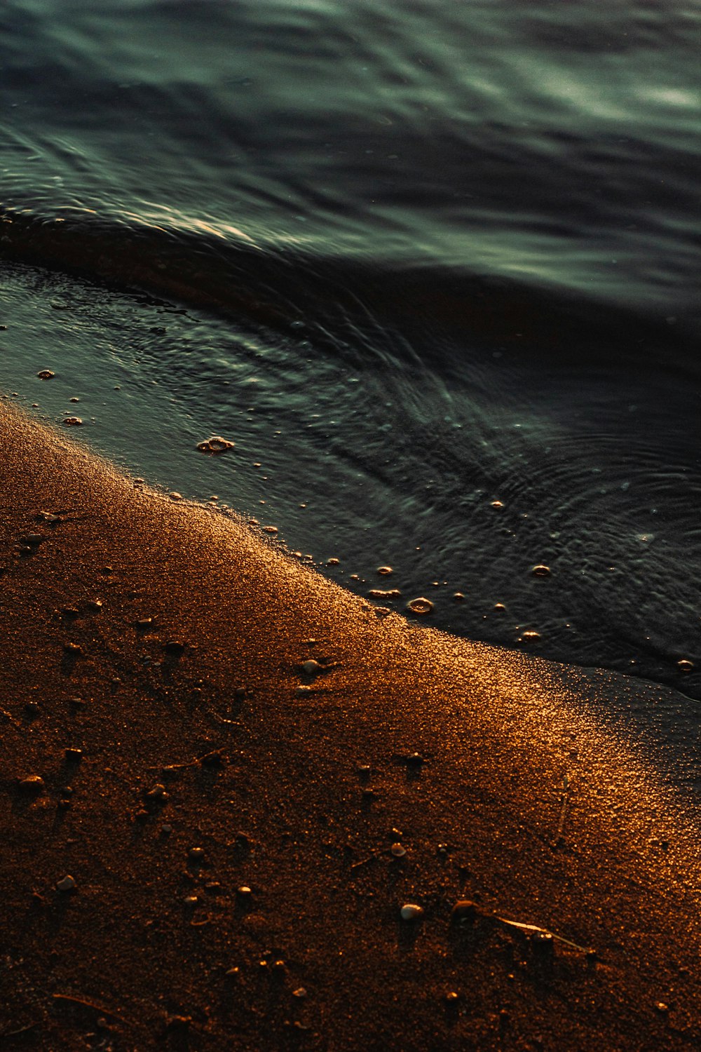 a bird is standing on the sand near the water