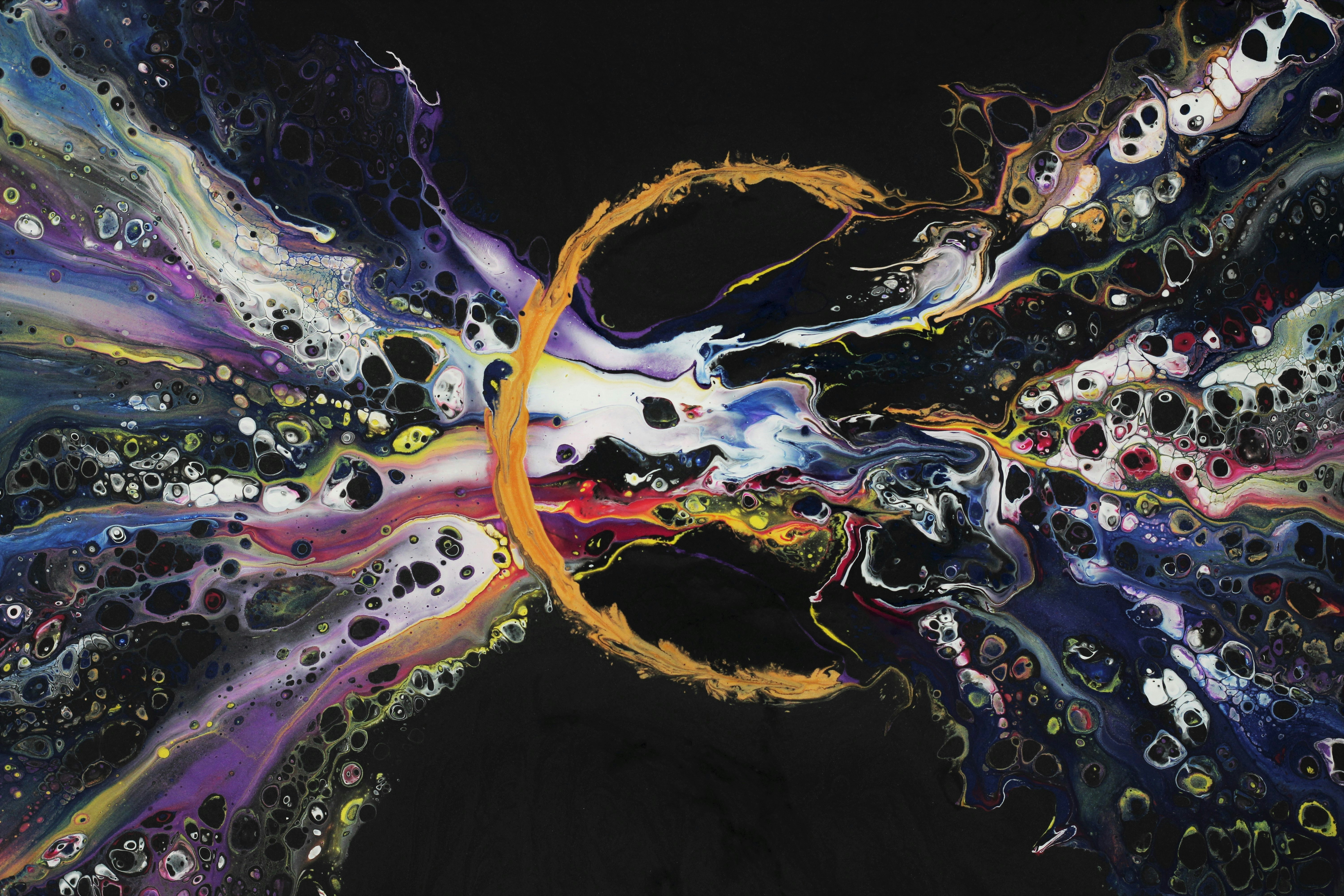 Photo by susan_wilkinson