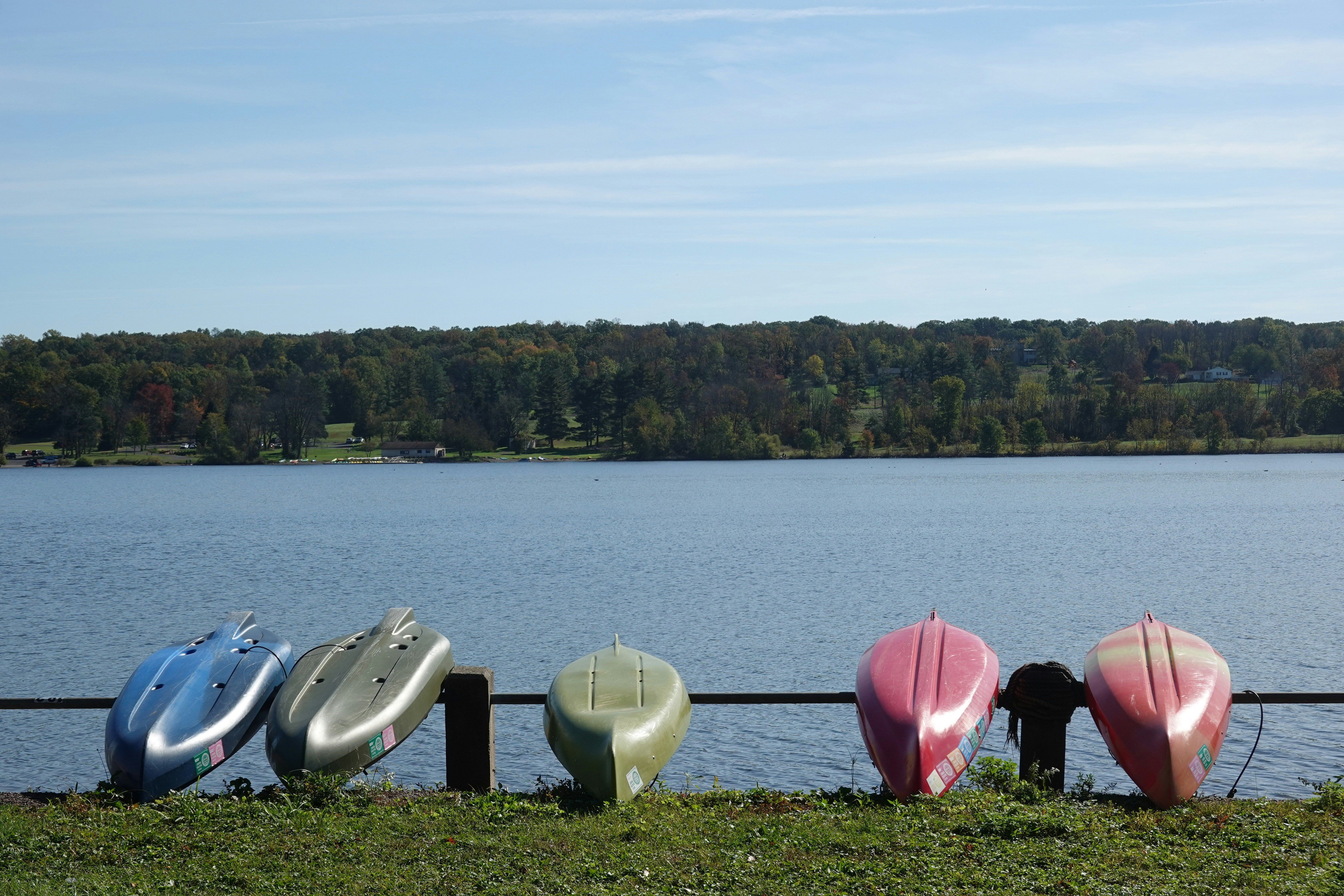 a row of surfboards sitting next to a lake