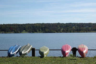 a row of surfboards sitting next to a lake
