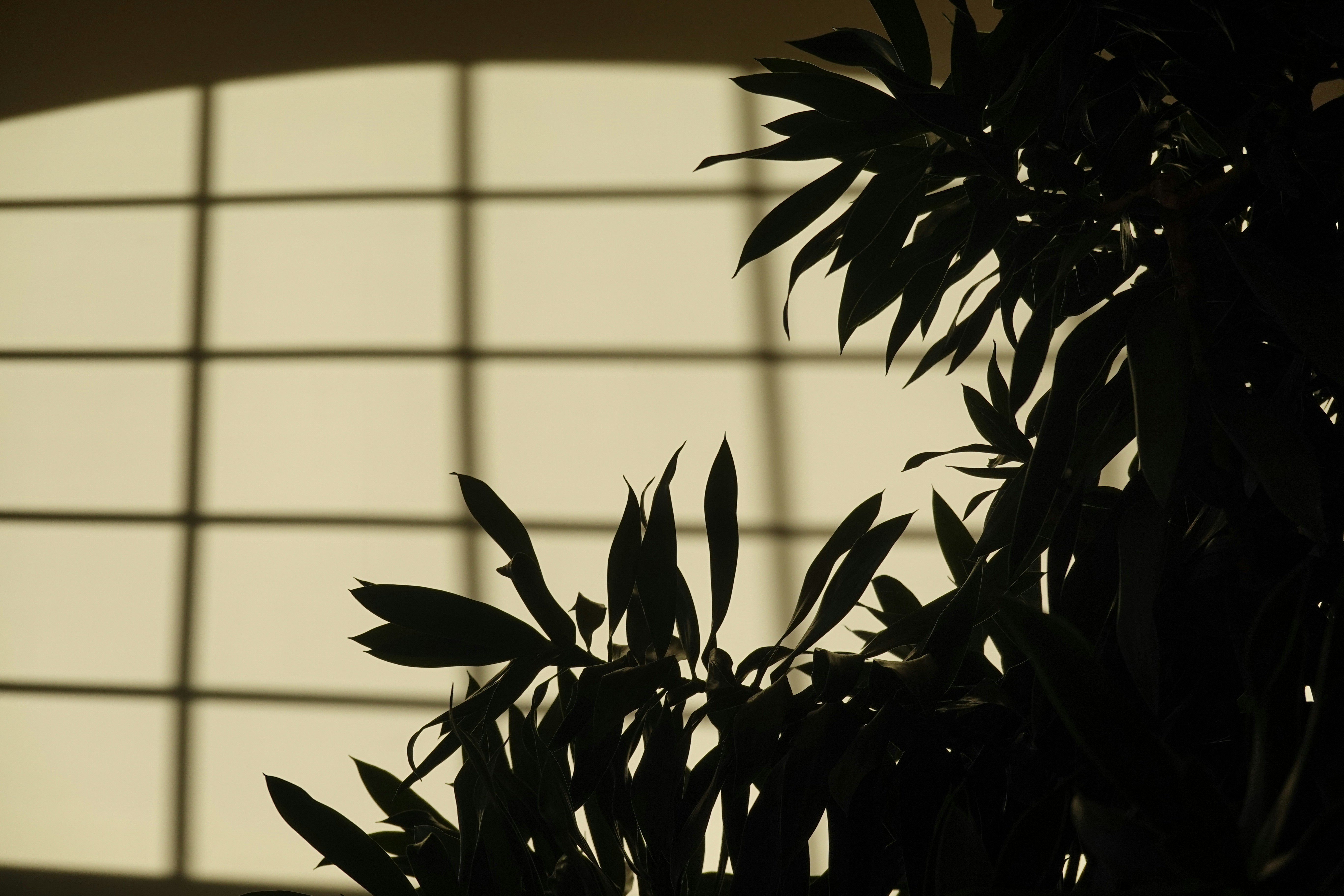 Photo by marsha_reid