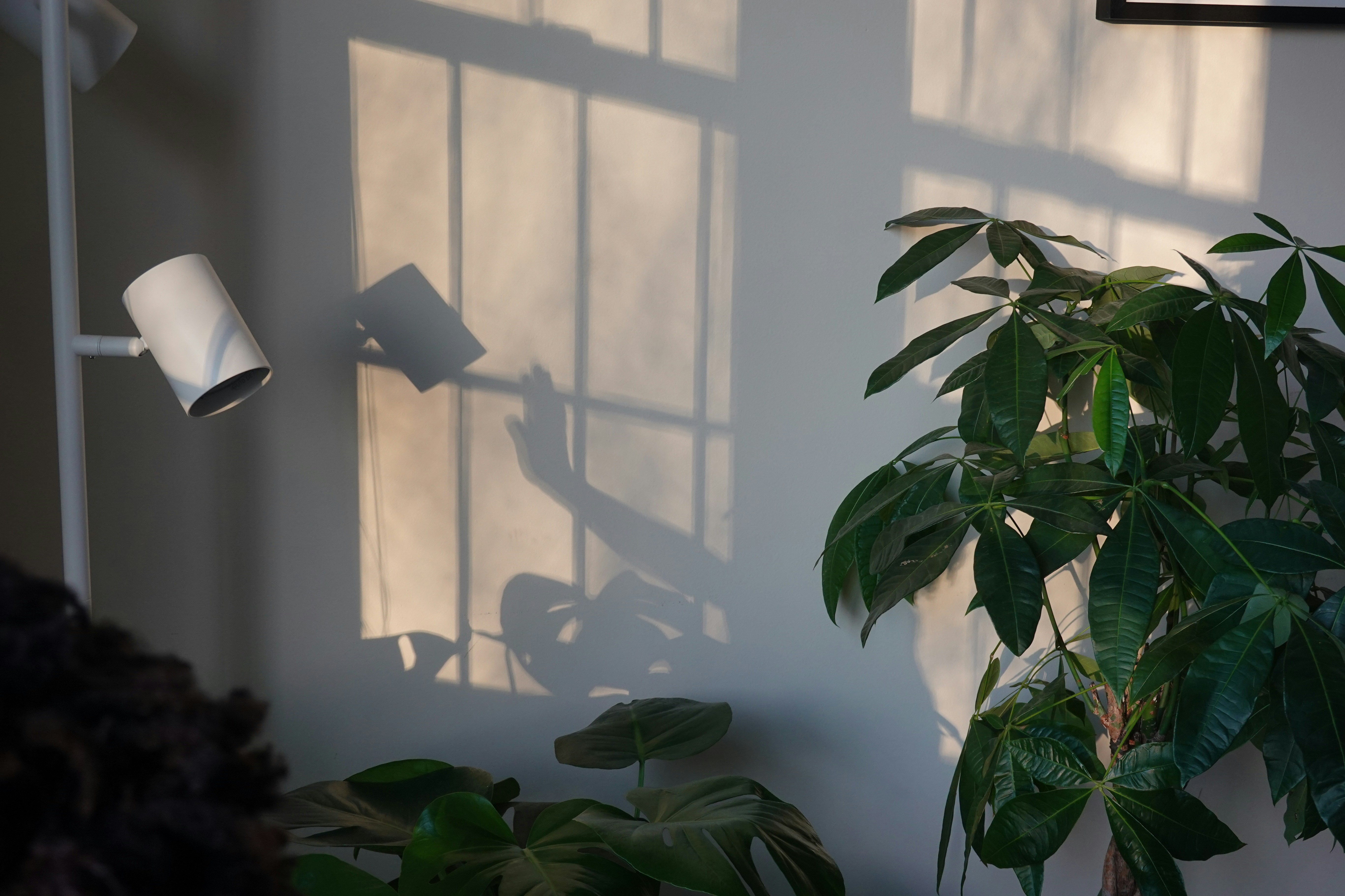 Photo by marsha_reid