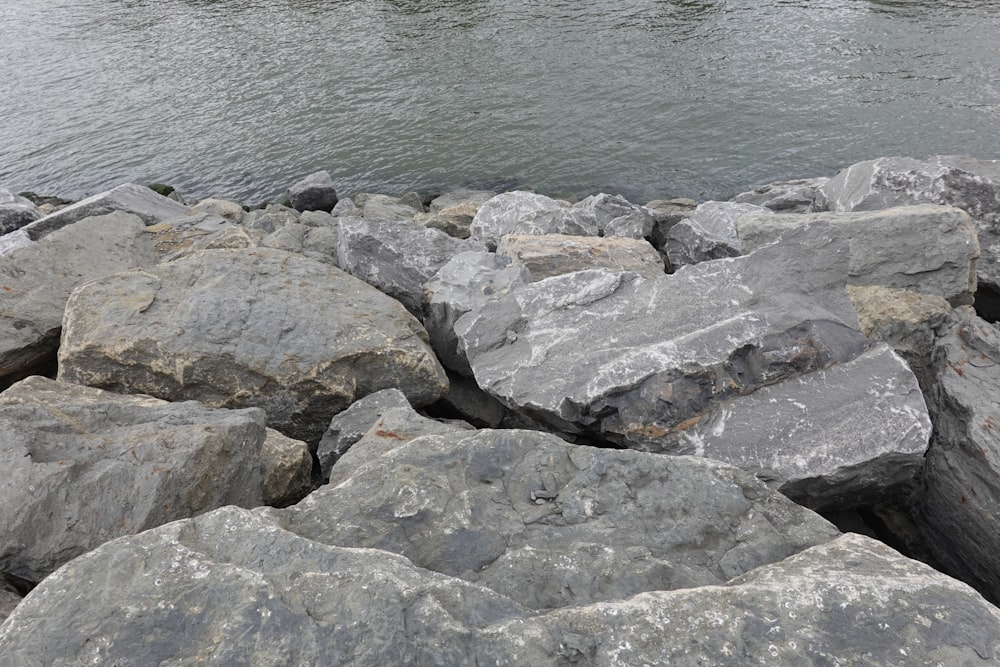 a large body of water surrounded by rocks