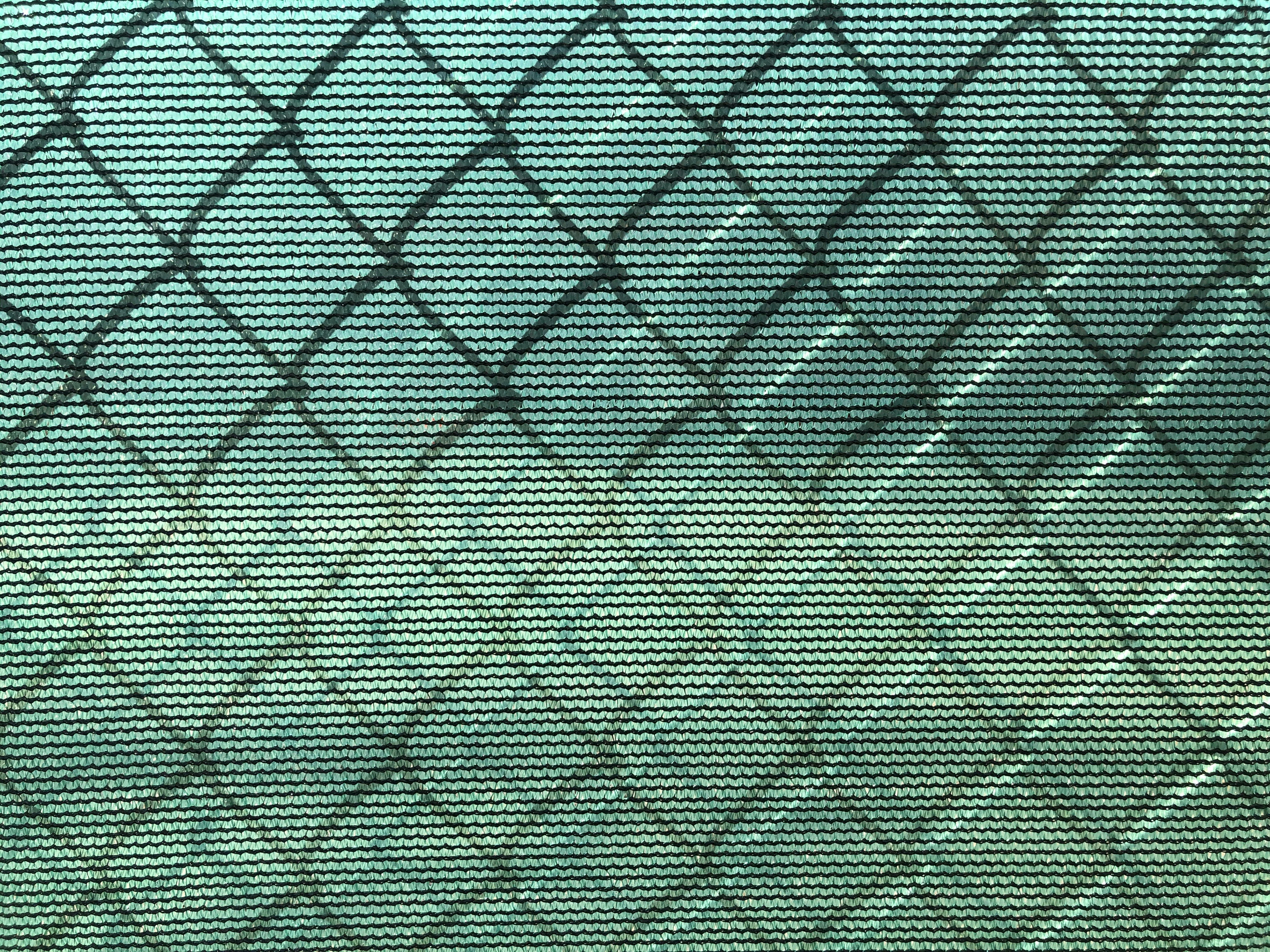 Photo by marsha_reid