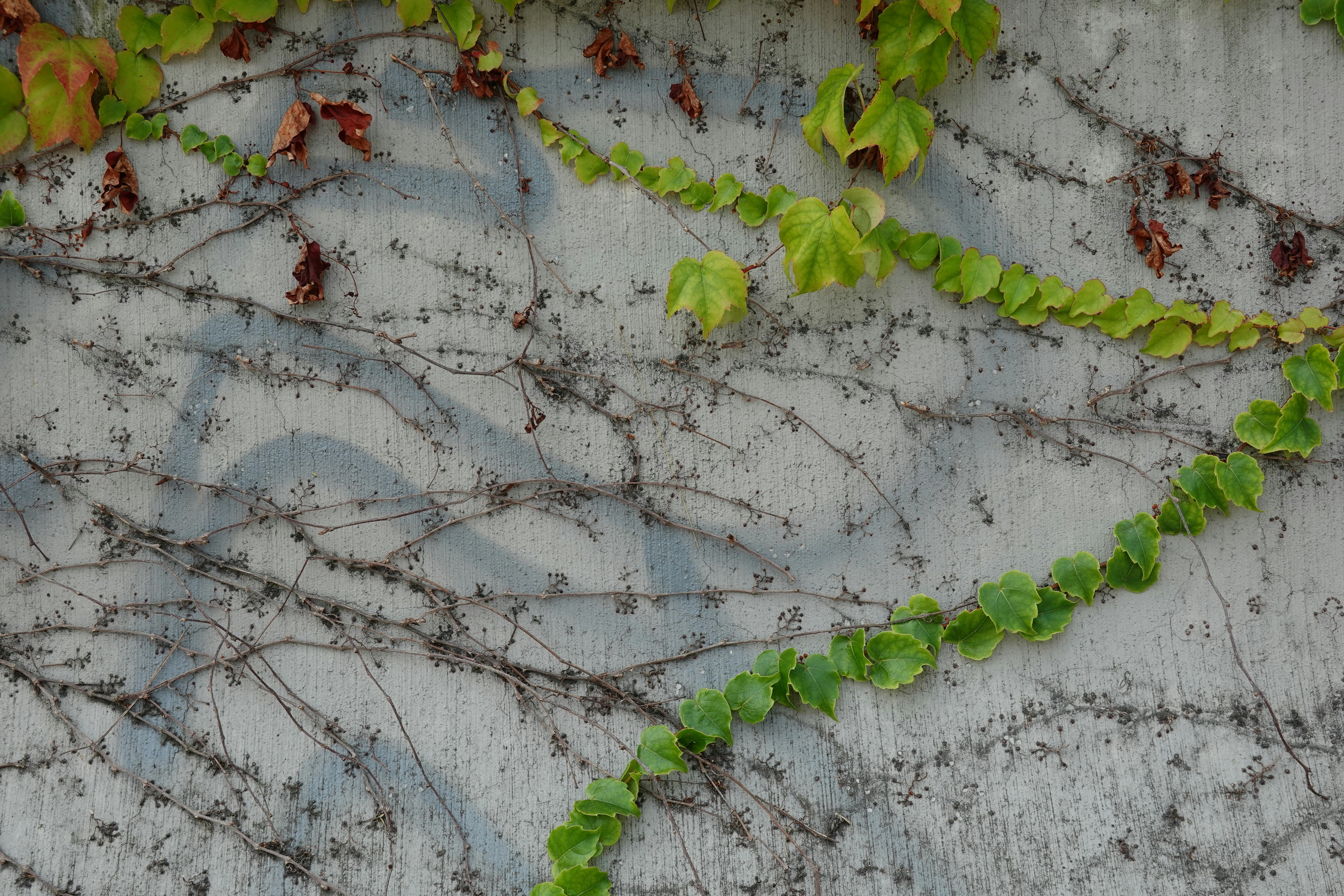 Photo by marsha_reid