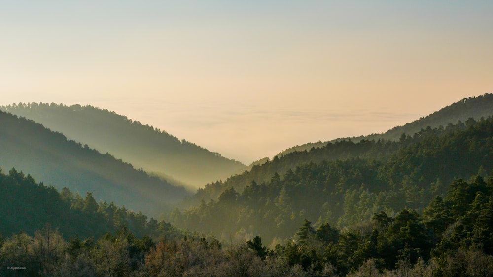 the sun shines through the trees in the mountains