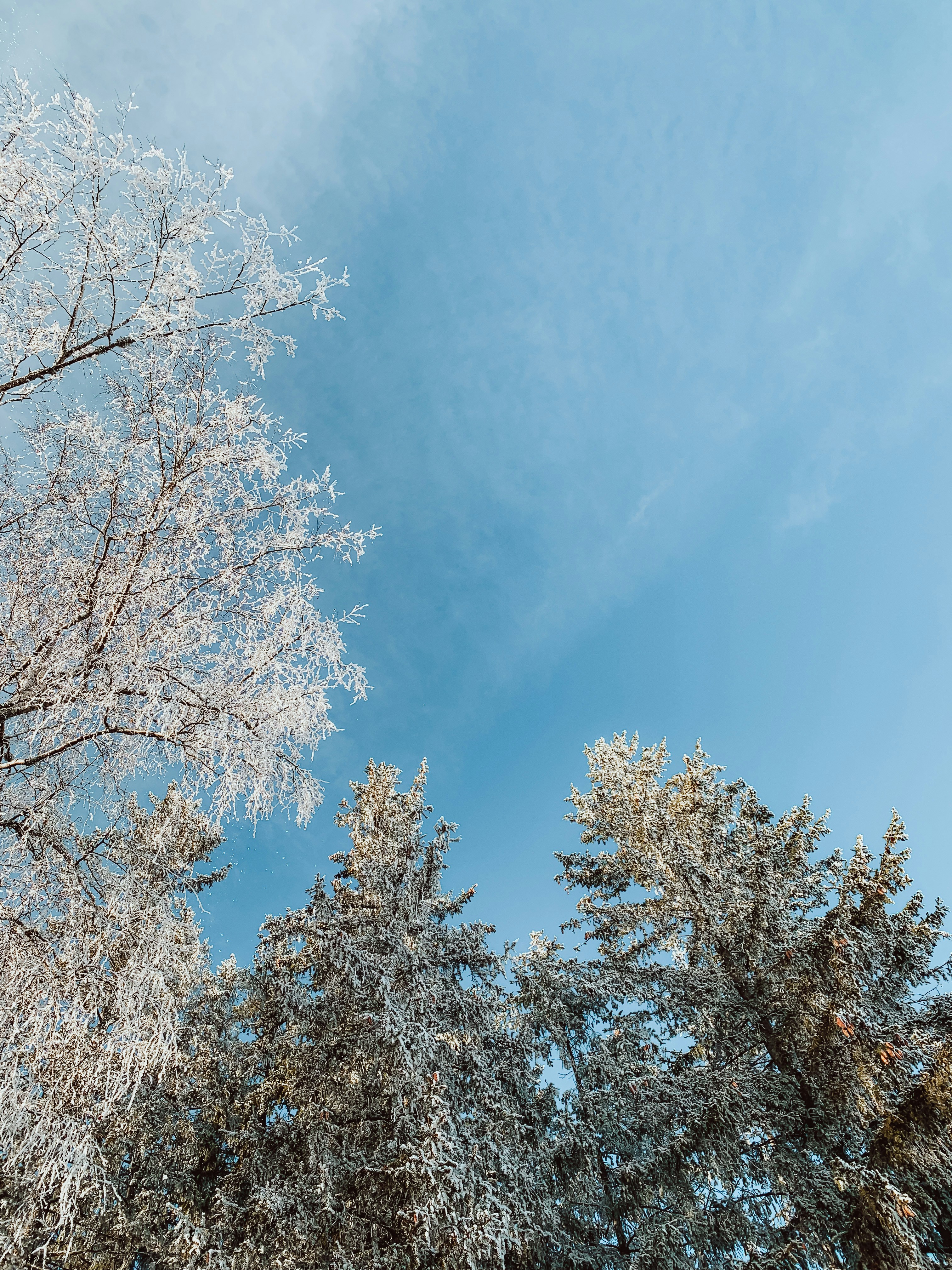 Photo by ingridmartinussen