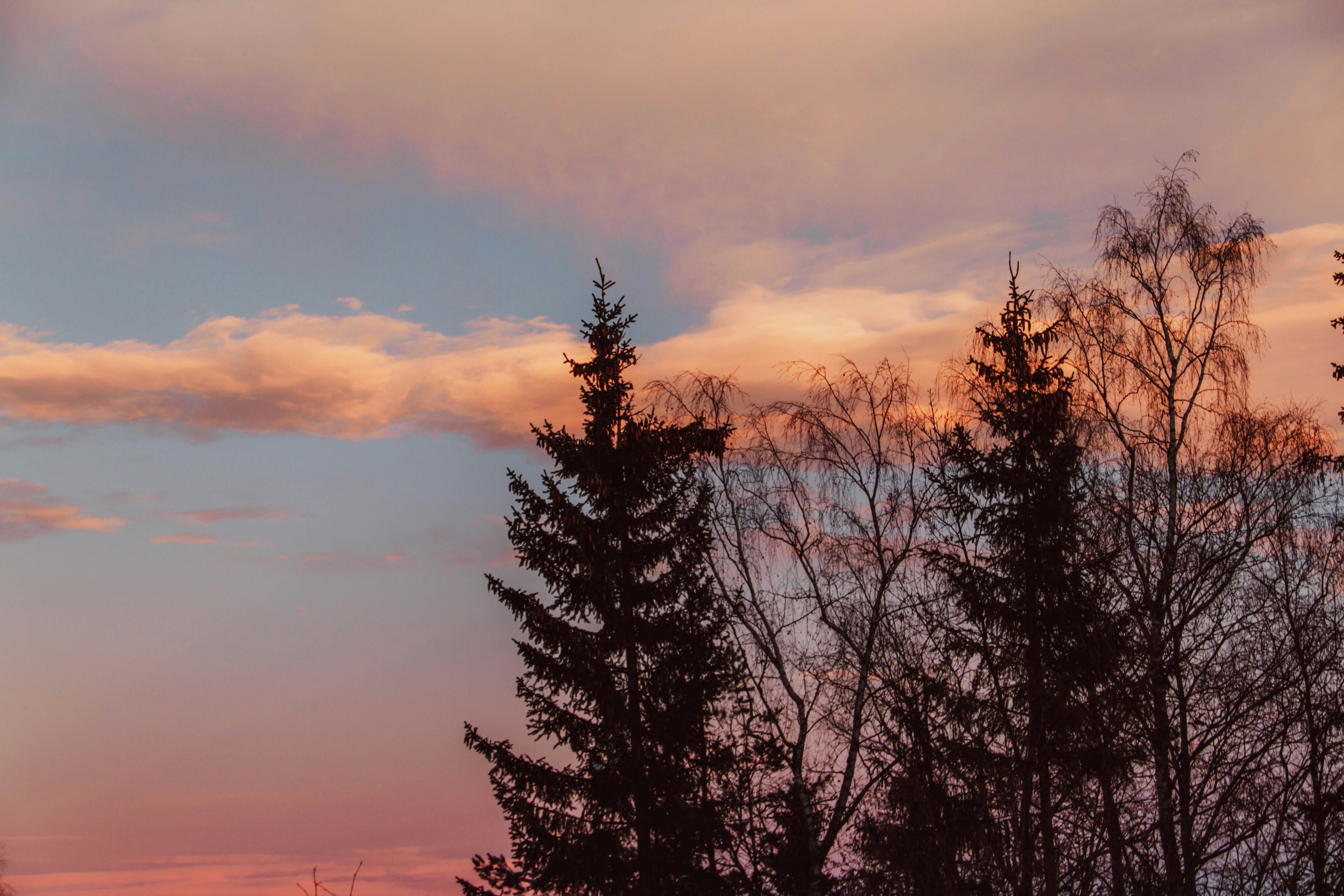 Photo by ingridmartinussen