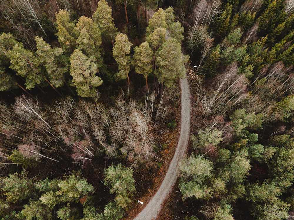 an aerial view of a road in the middle of a forest