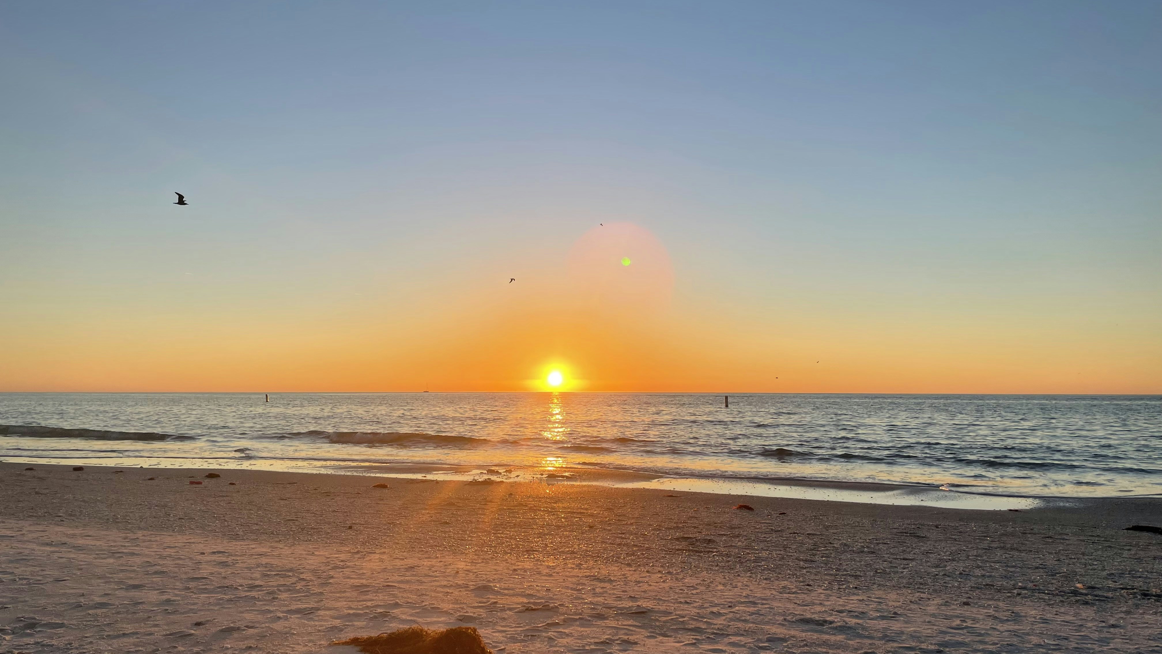 Photo by assaji_tawalantanne