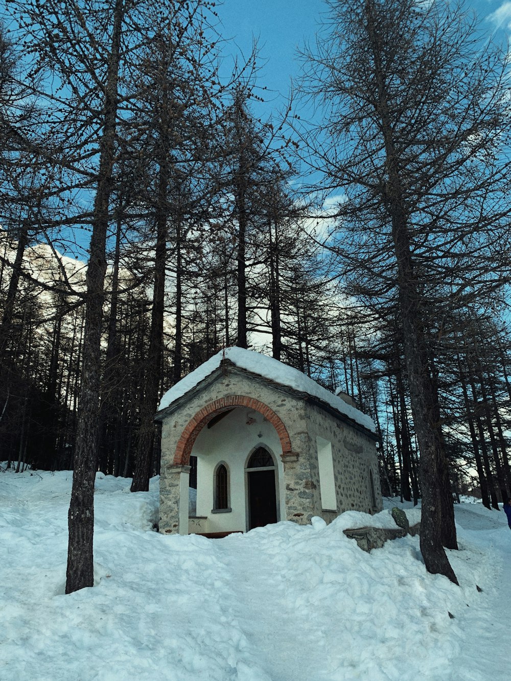 a small building in the middle of a snowy forest