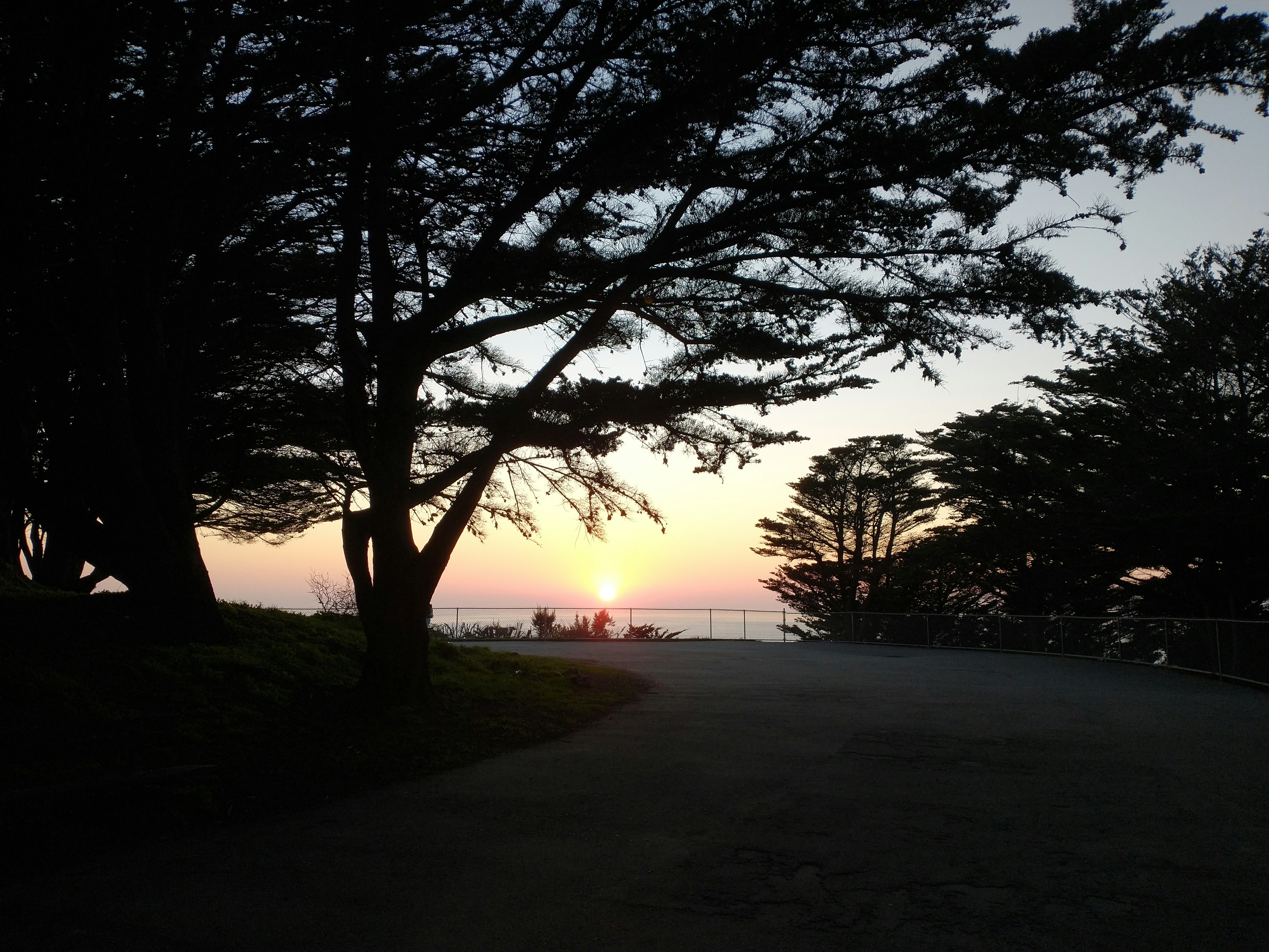 Photo by thiagorobert