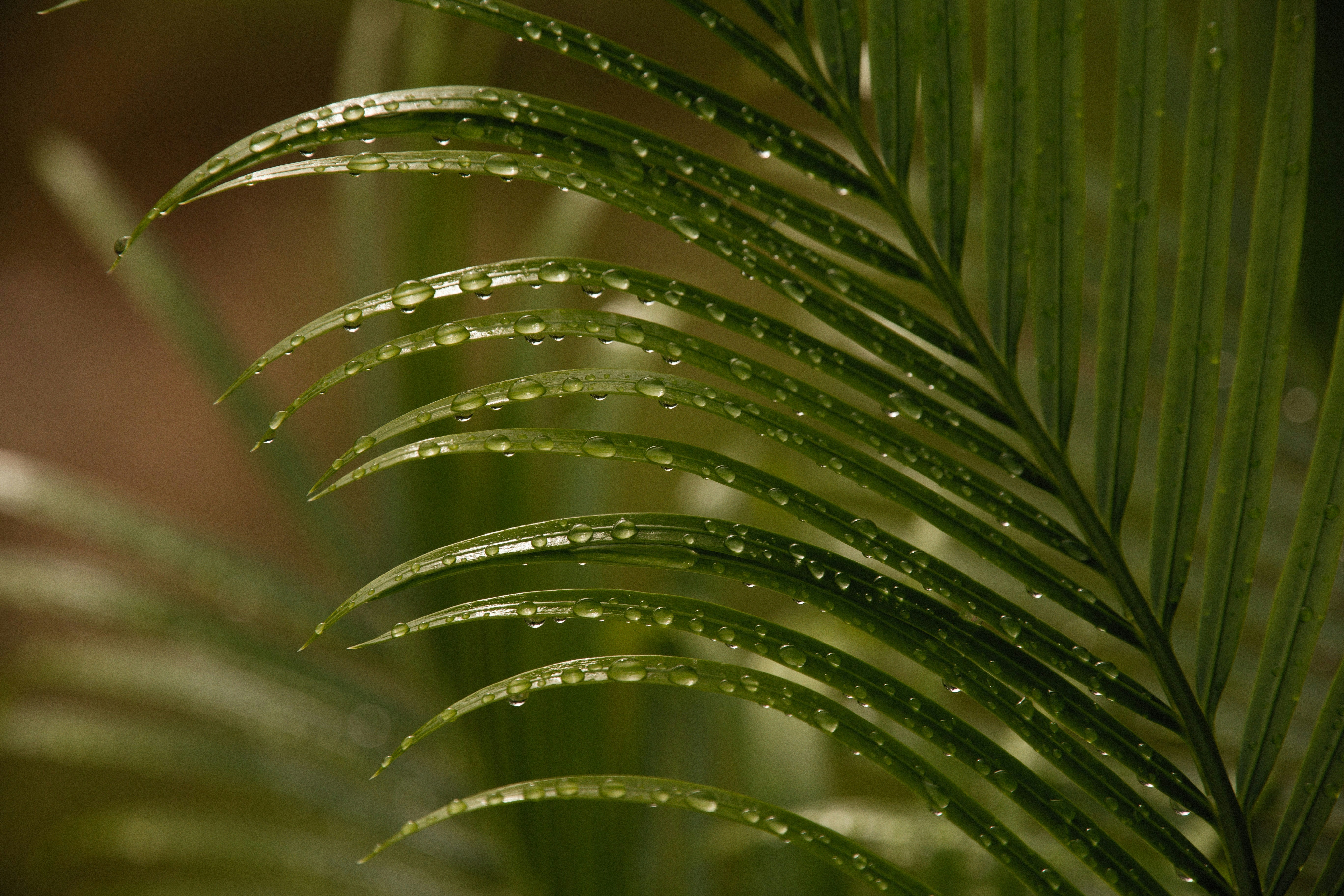 Photo by alexeydemidov