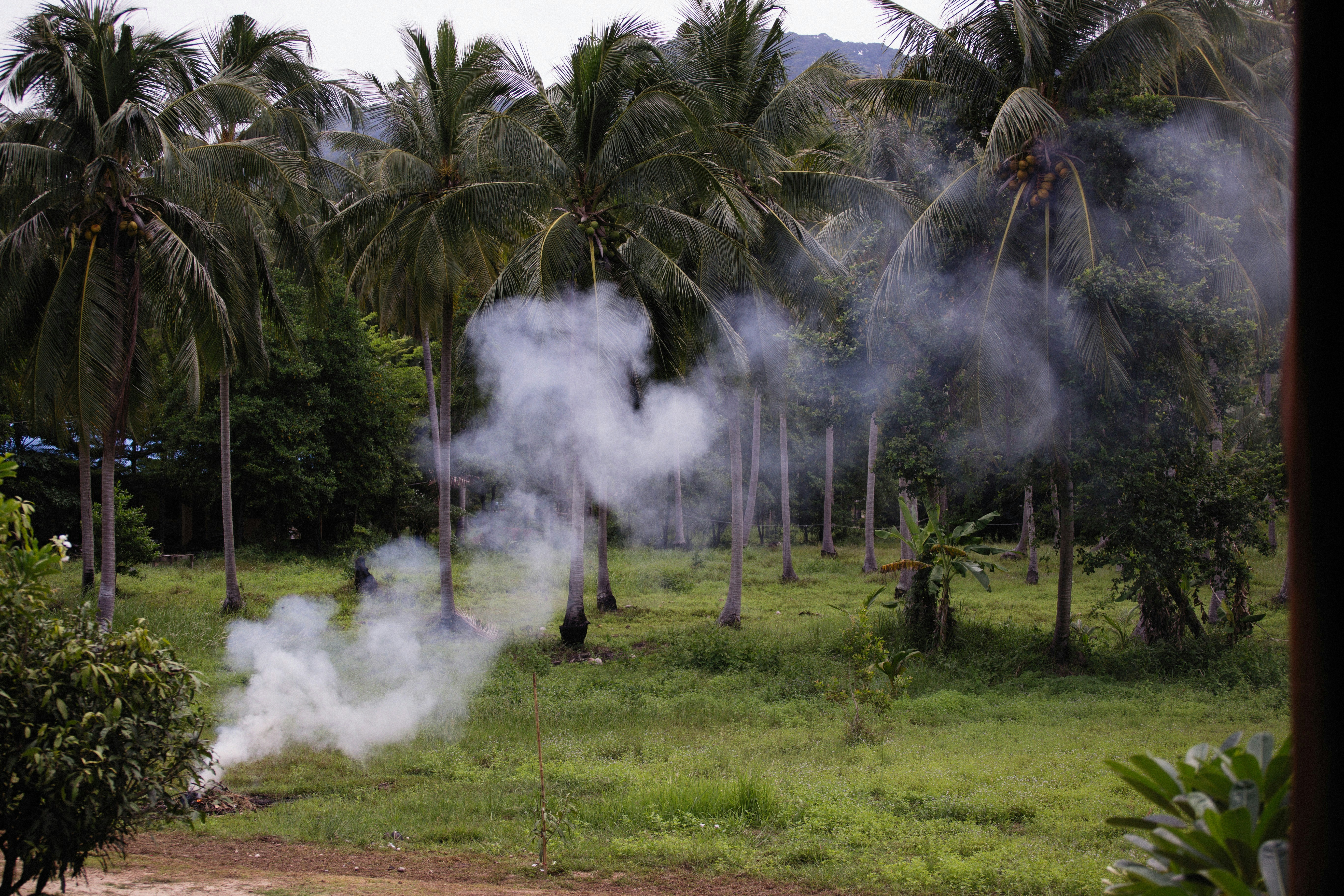 a field with a lot of smoke coming out of it
