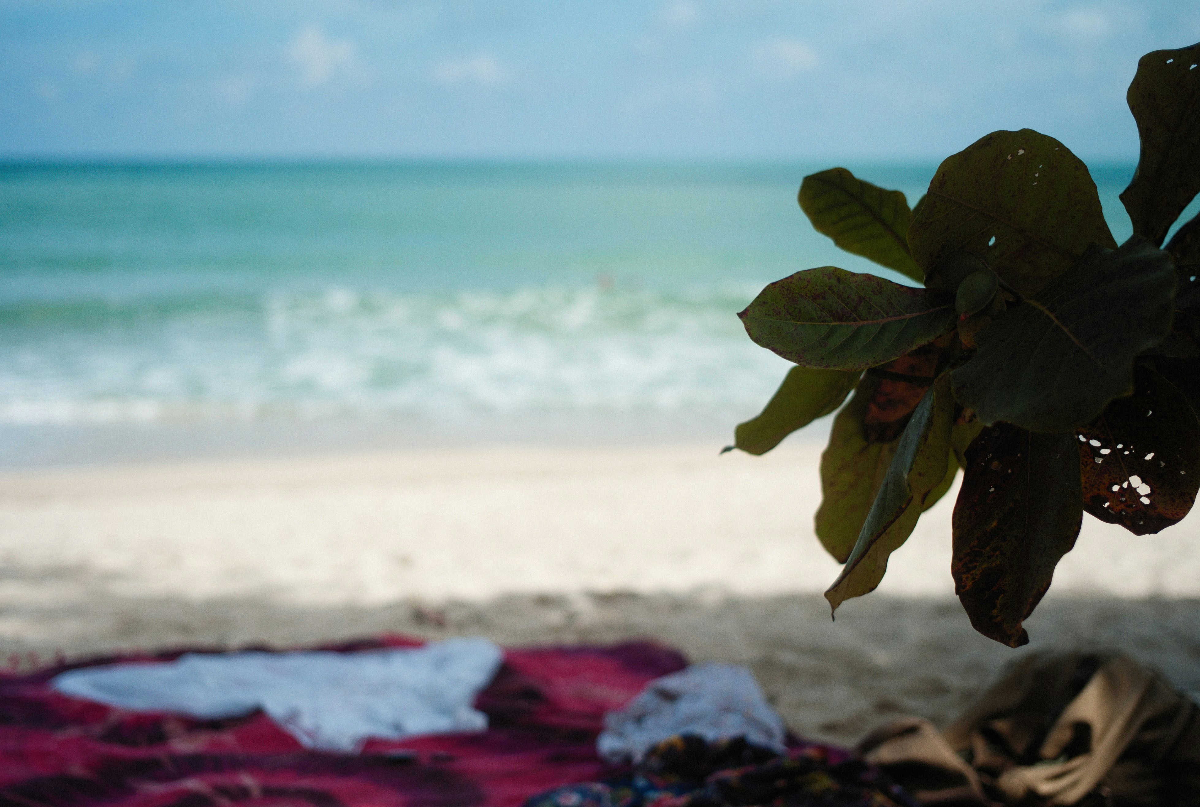 Photo by alexeydemidov