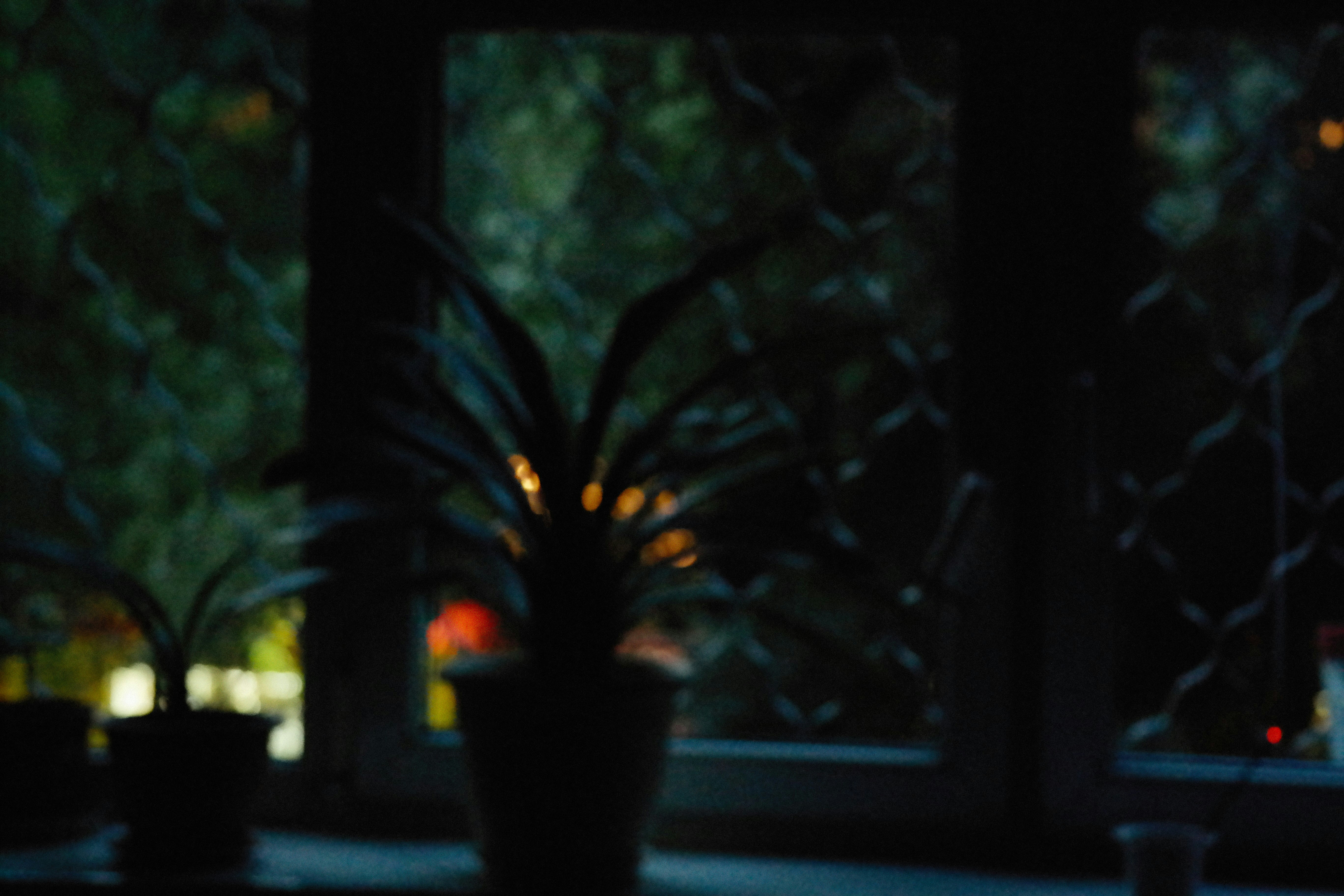 Photo by alexeydemidov