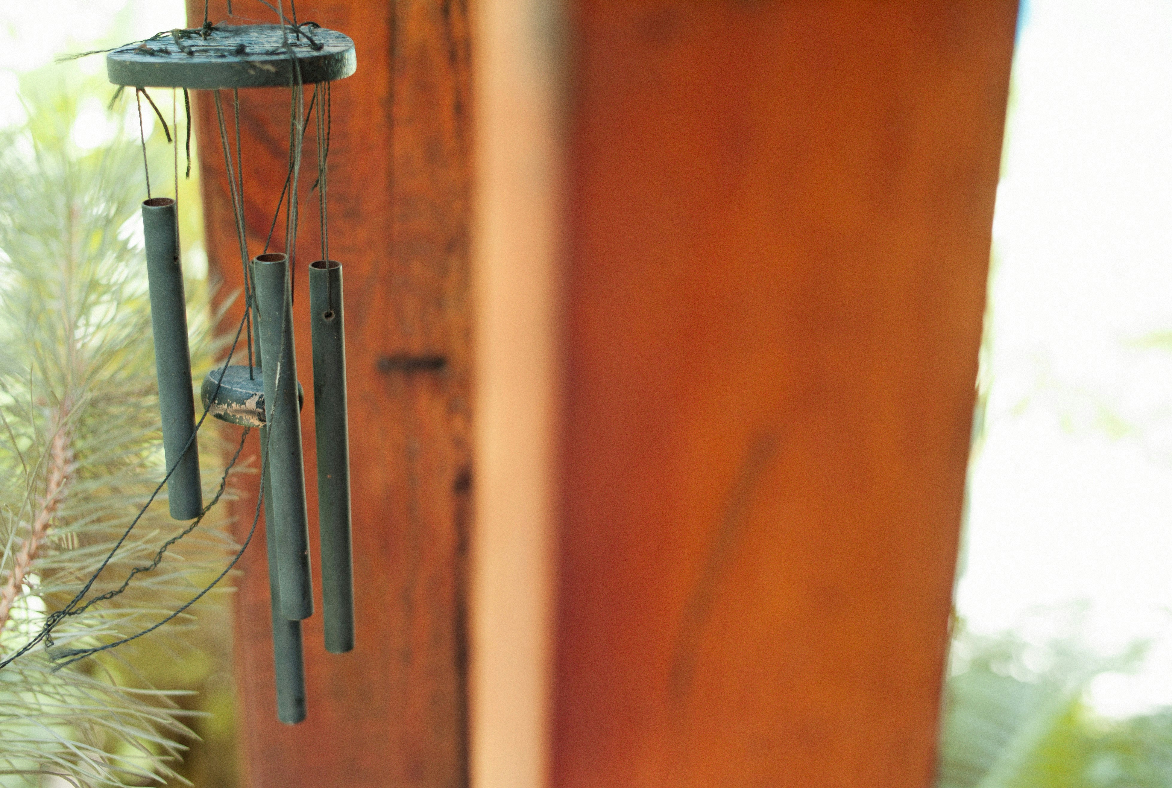 Photo by alexeydemidov