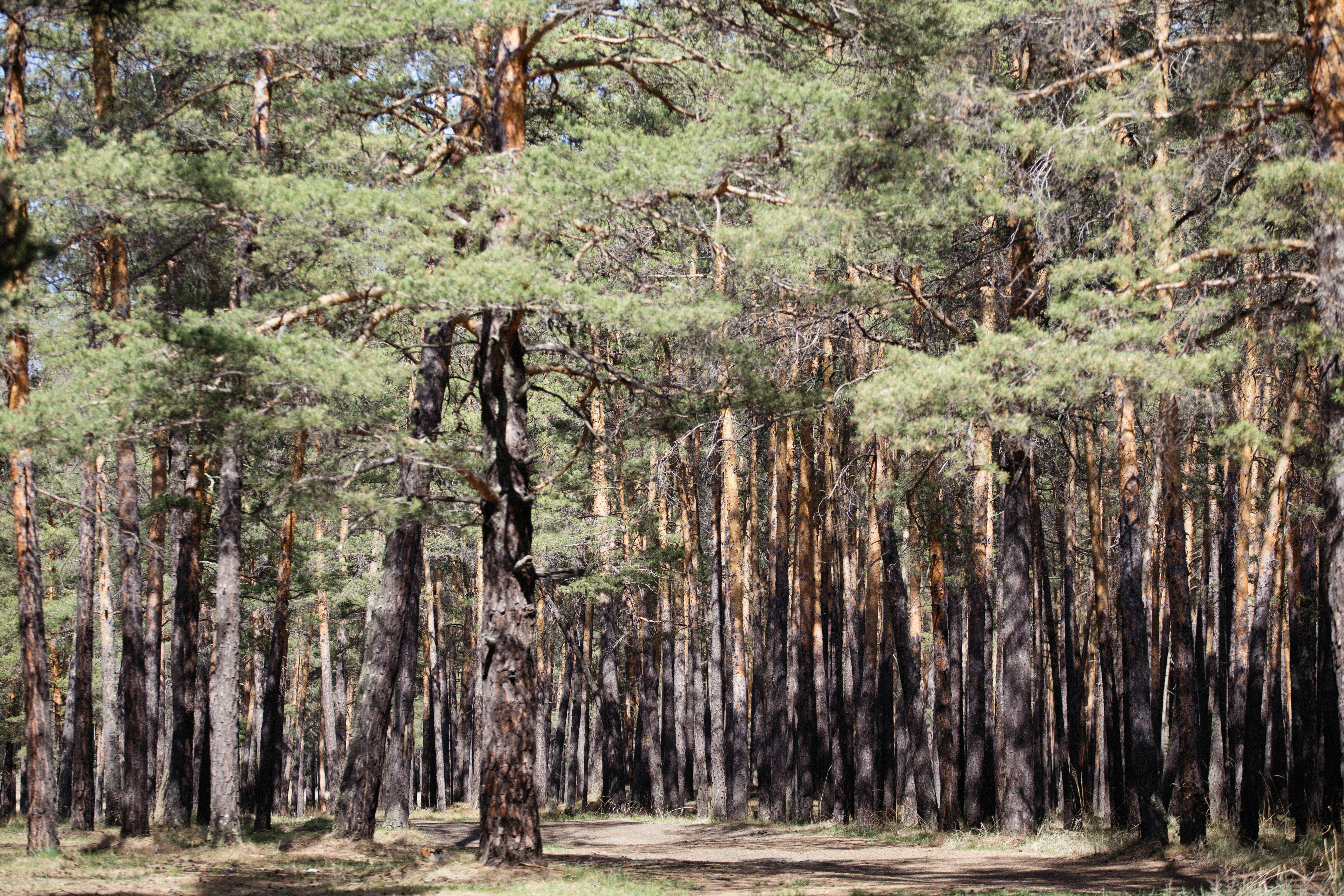 Photo by alexeydemidov