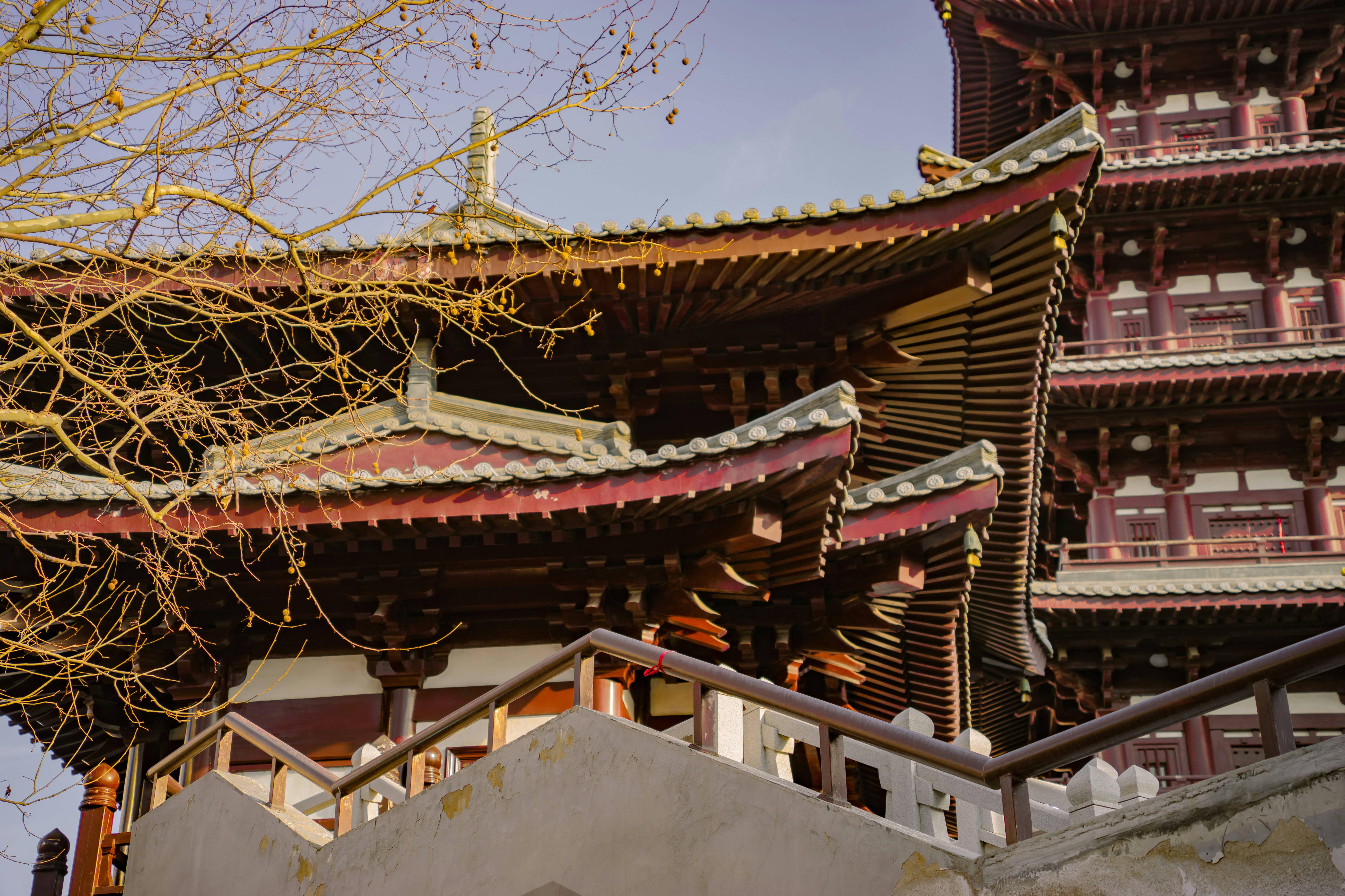 a tall building with a tree in front of it