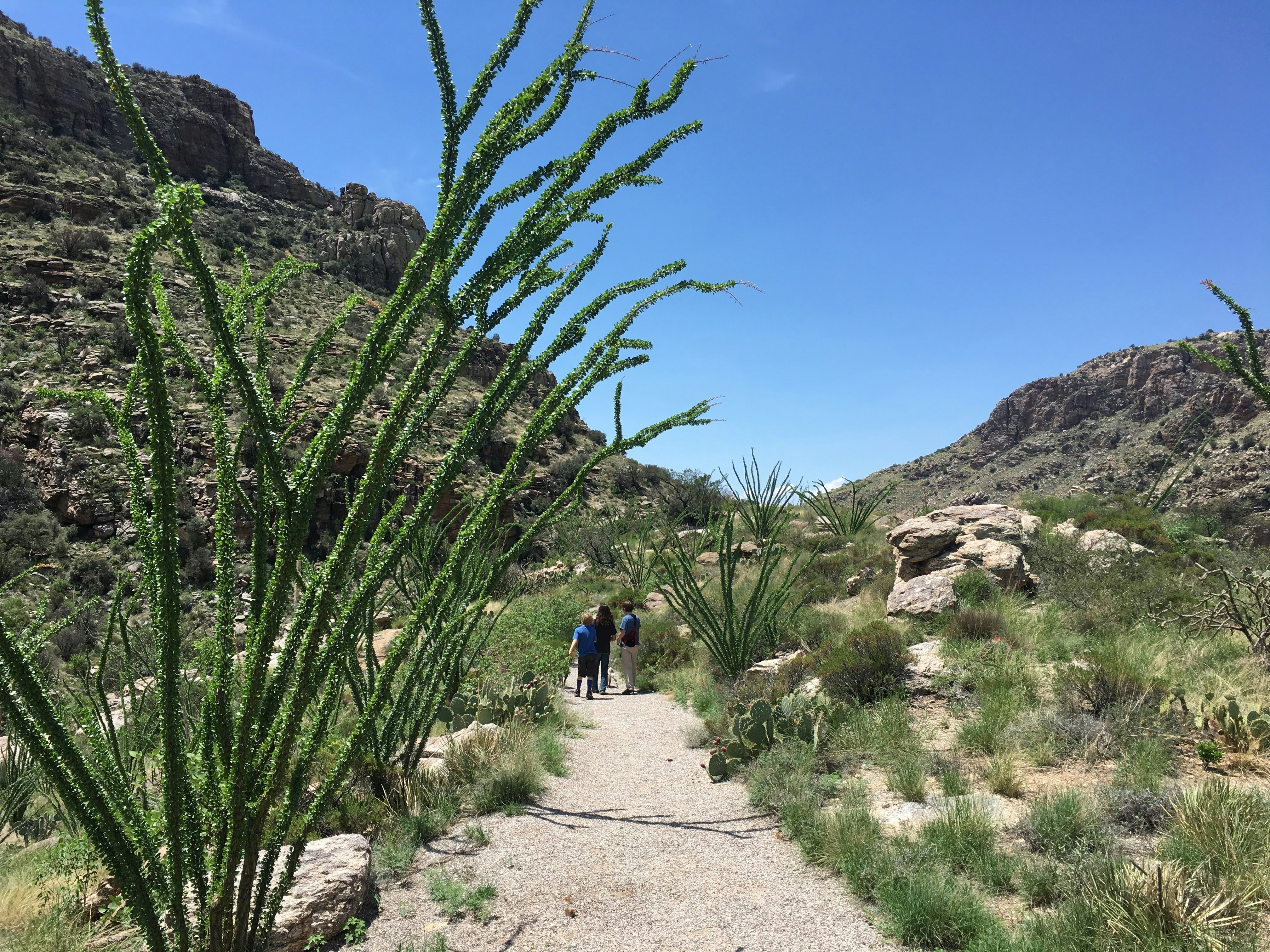 a couple of people walking down a dirt road
