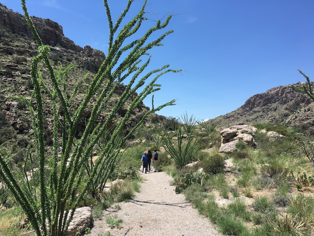 a couple of people walking down a dirt road