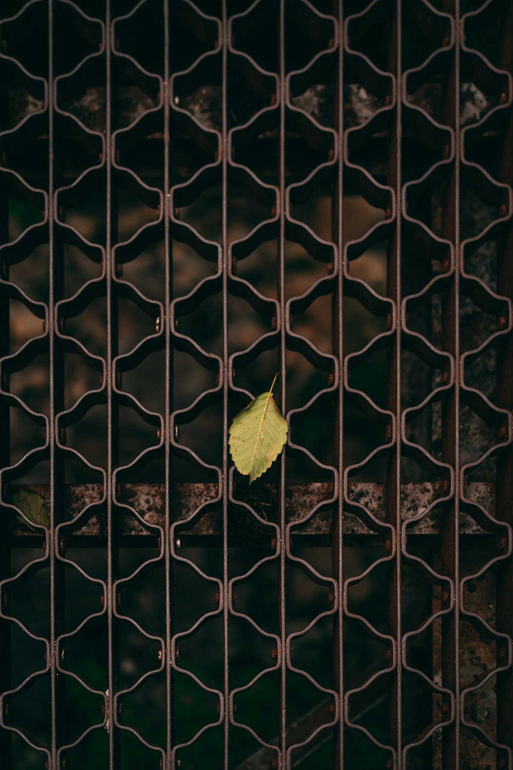 a yellow leaf sitting on top of a metal grate