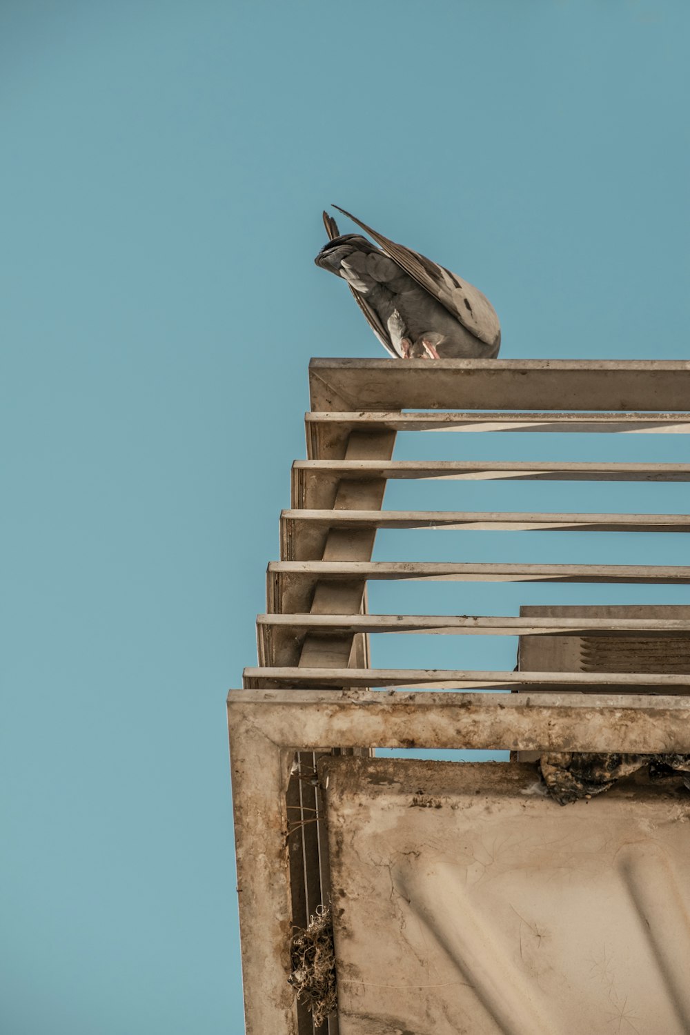 a bird is perched on top of a building