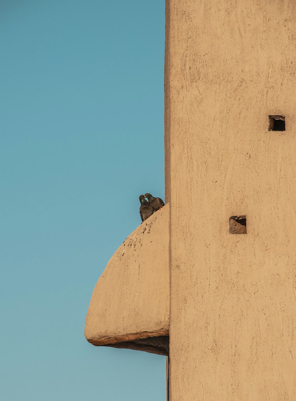 a bird perched on the side of a building