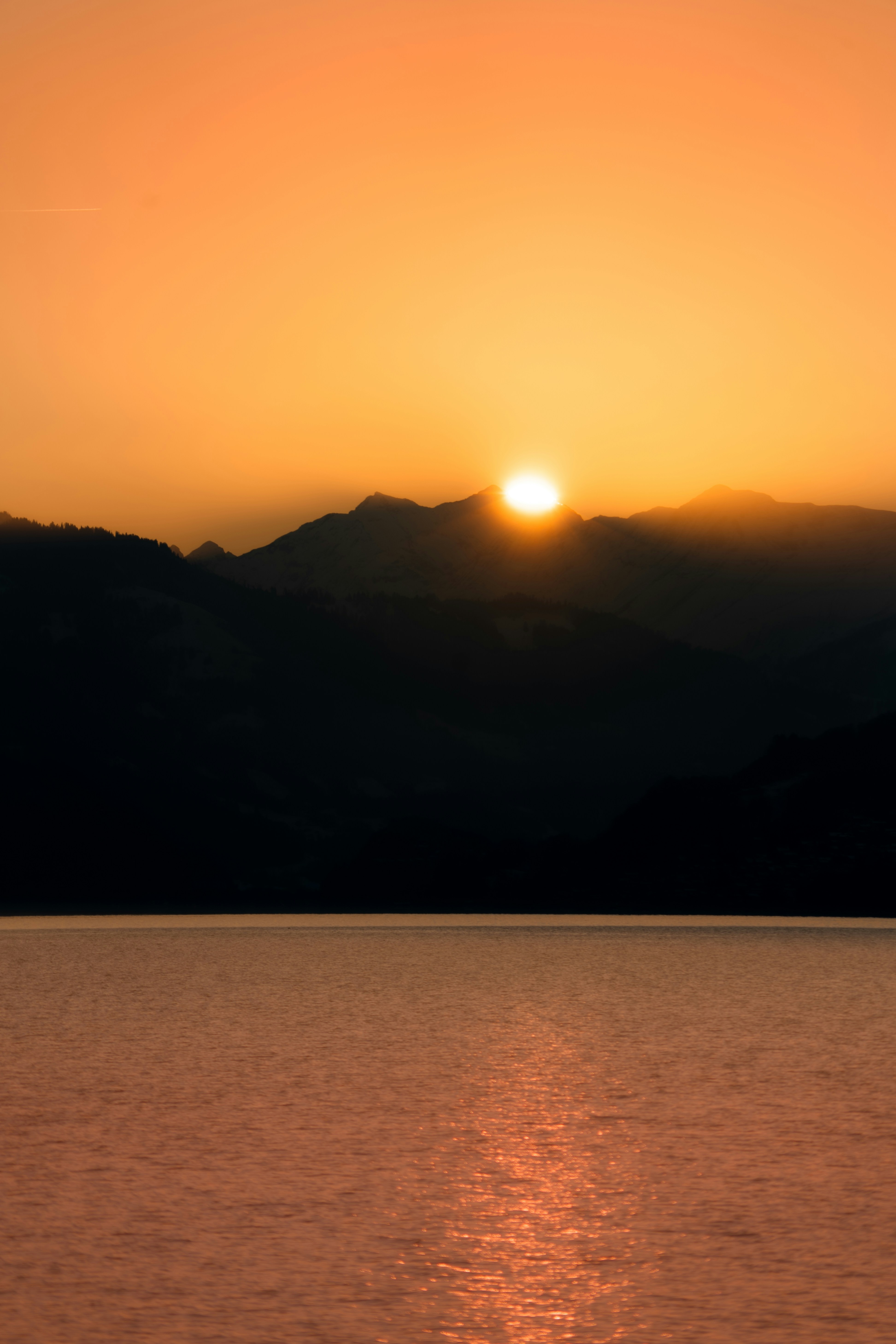 Git常见命令速查表