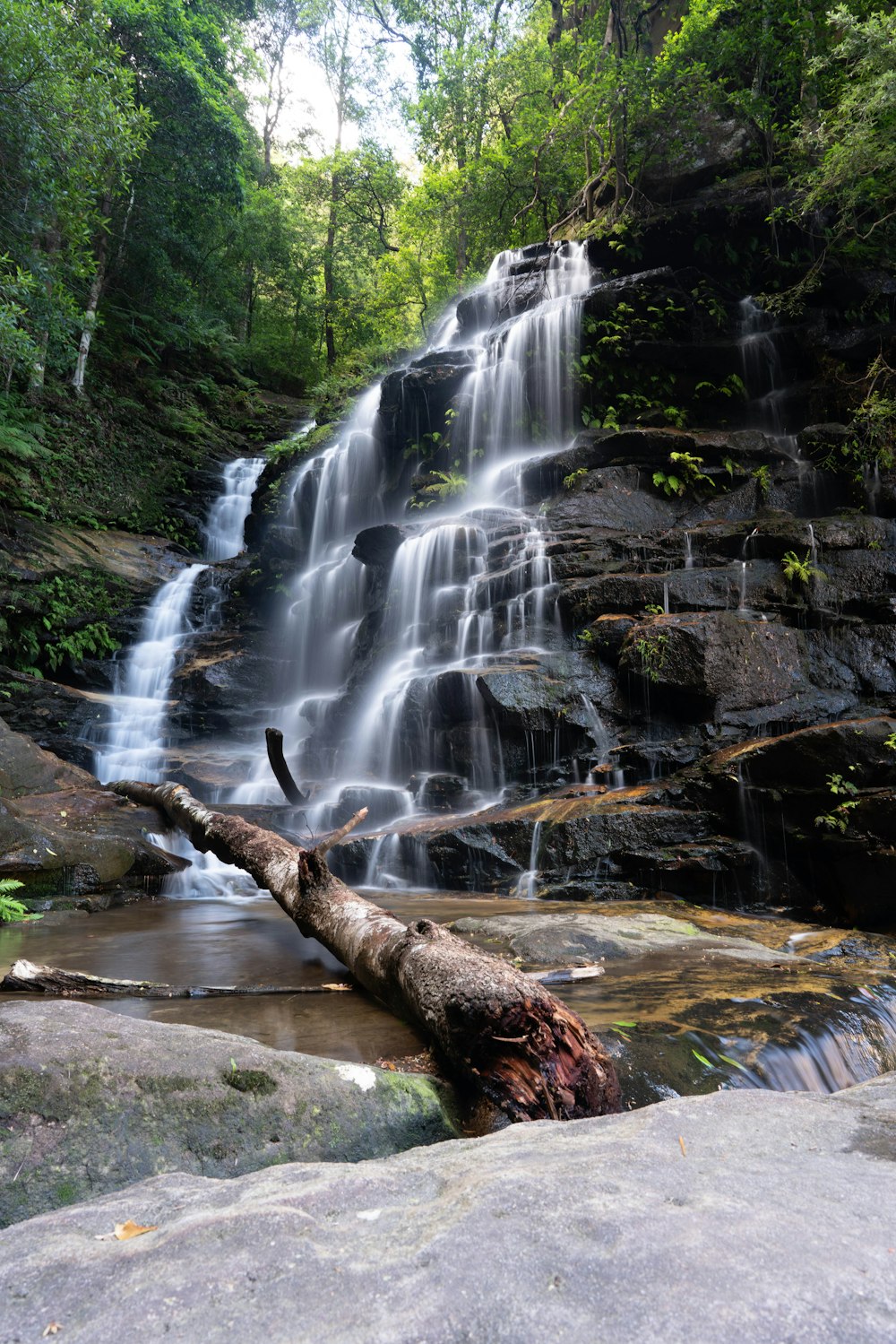 a waterfall with a fallen tree in the foreground