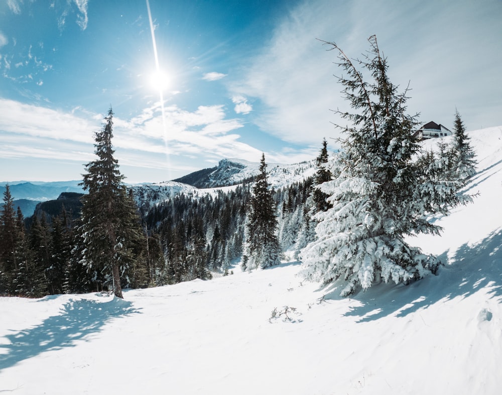 the sun is shining over a snowy mountain