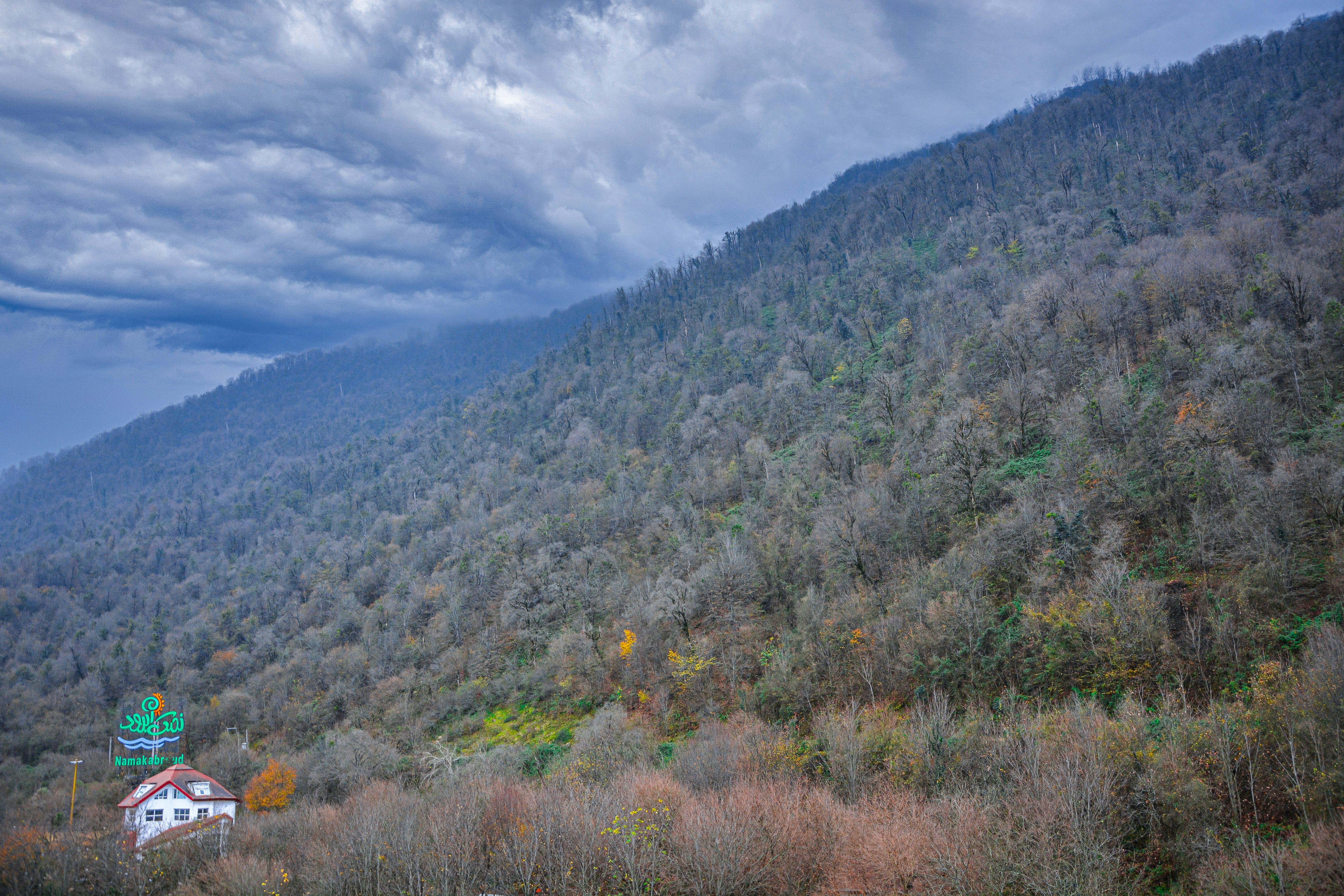 Photo by meisam_saeb