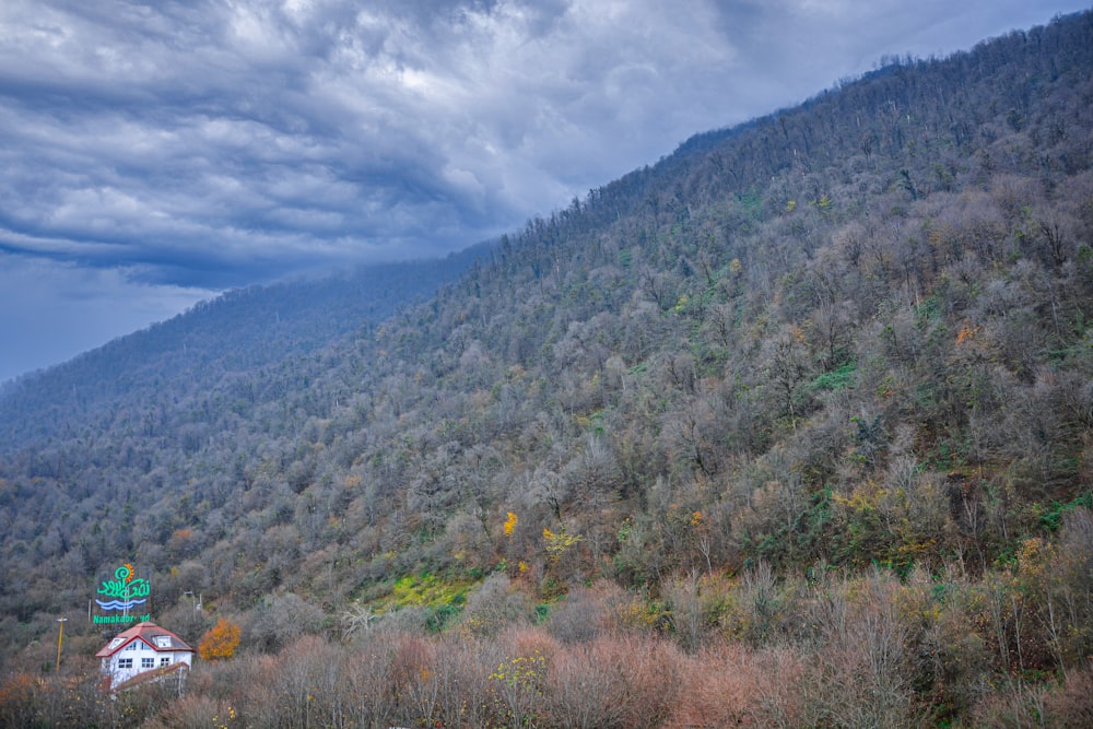 a house in the middle of a forest under a cloudy sky