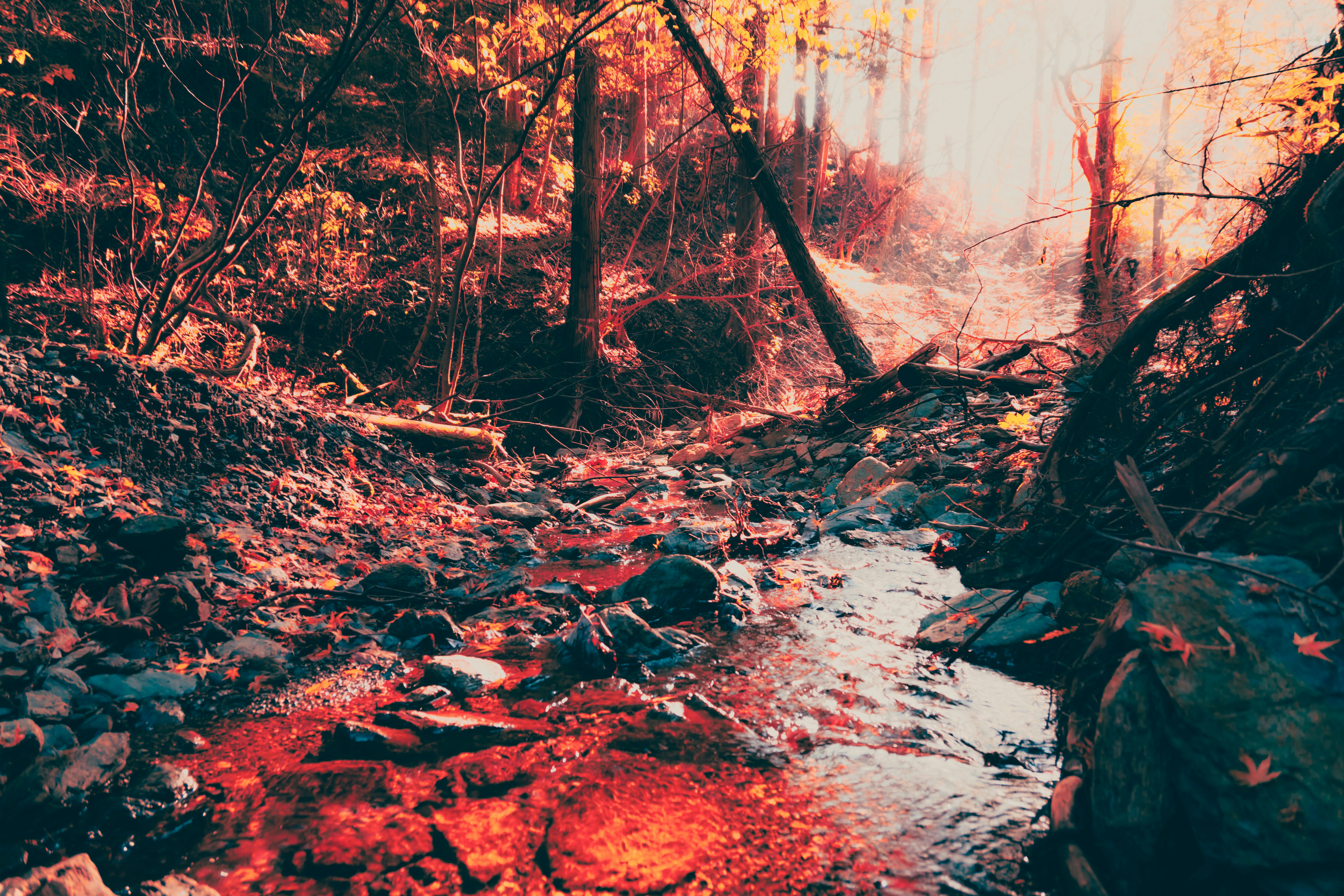 Hematite Park