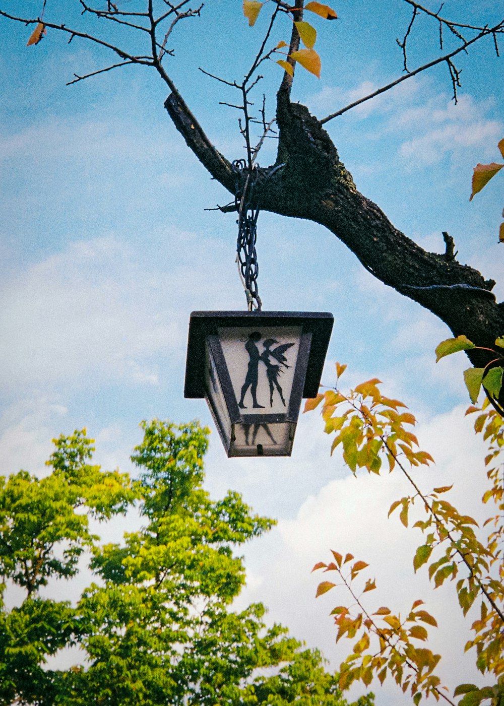 a street light hanging from a tree branch